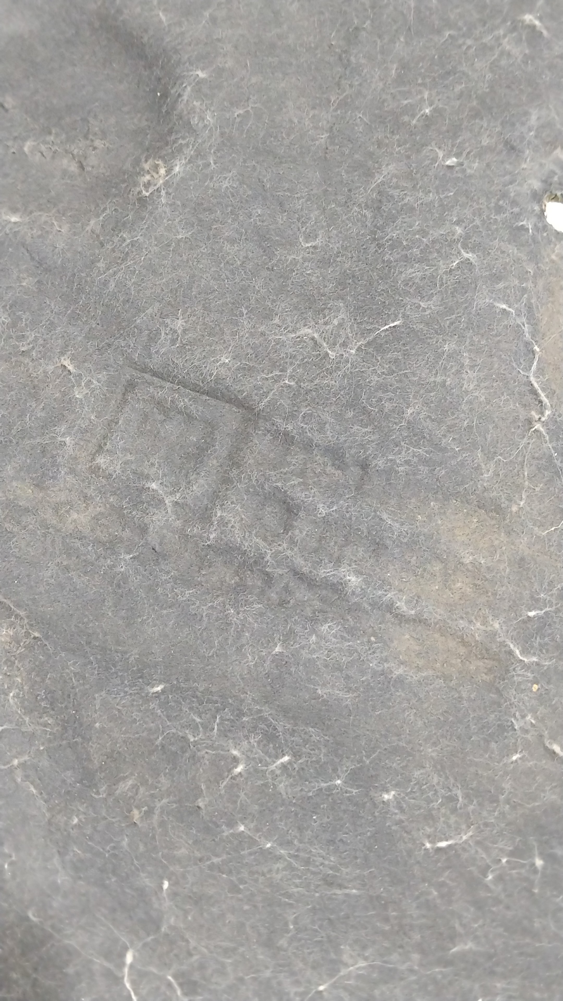 Manta Forração Antiruído Capô Chevrolet Vectra 2011 1