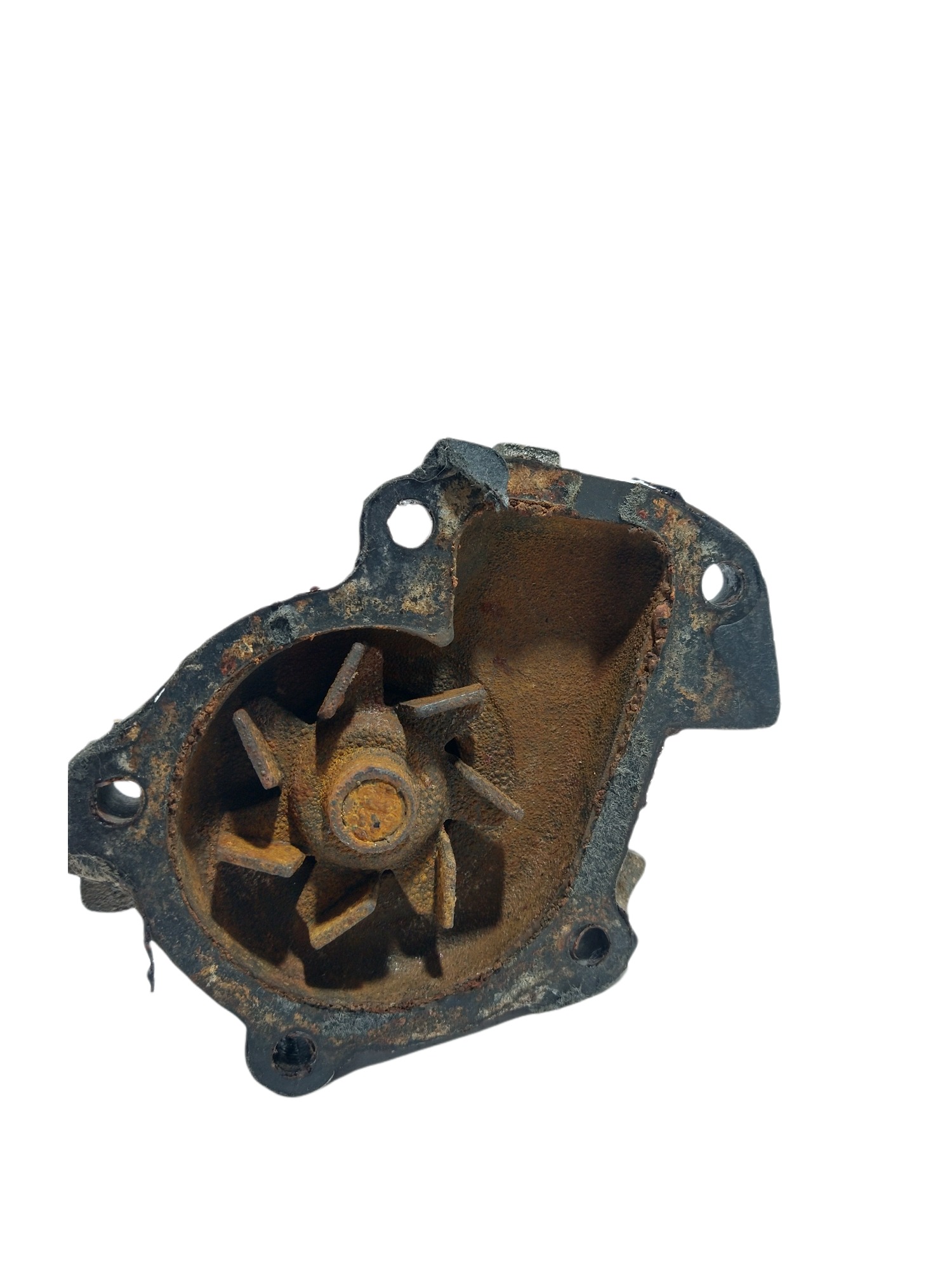 Bomba D´agua Daihatsu Térios 1.3 16v Usado 4