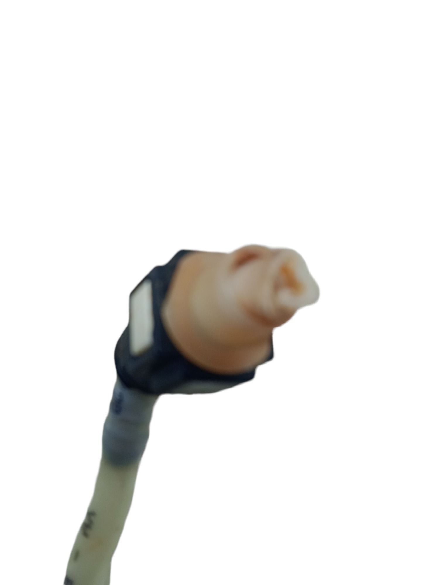 Mangueira Filtro Do Canister Up Tsi 2019 Usado 3