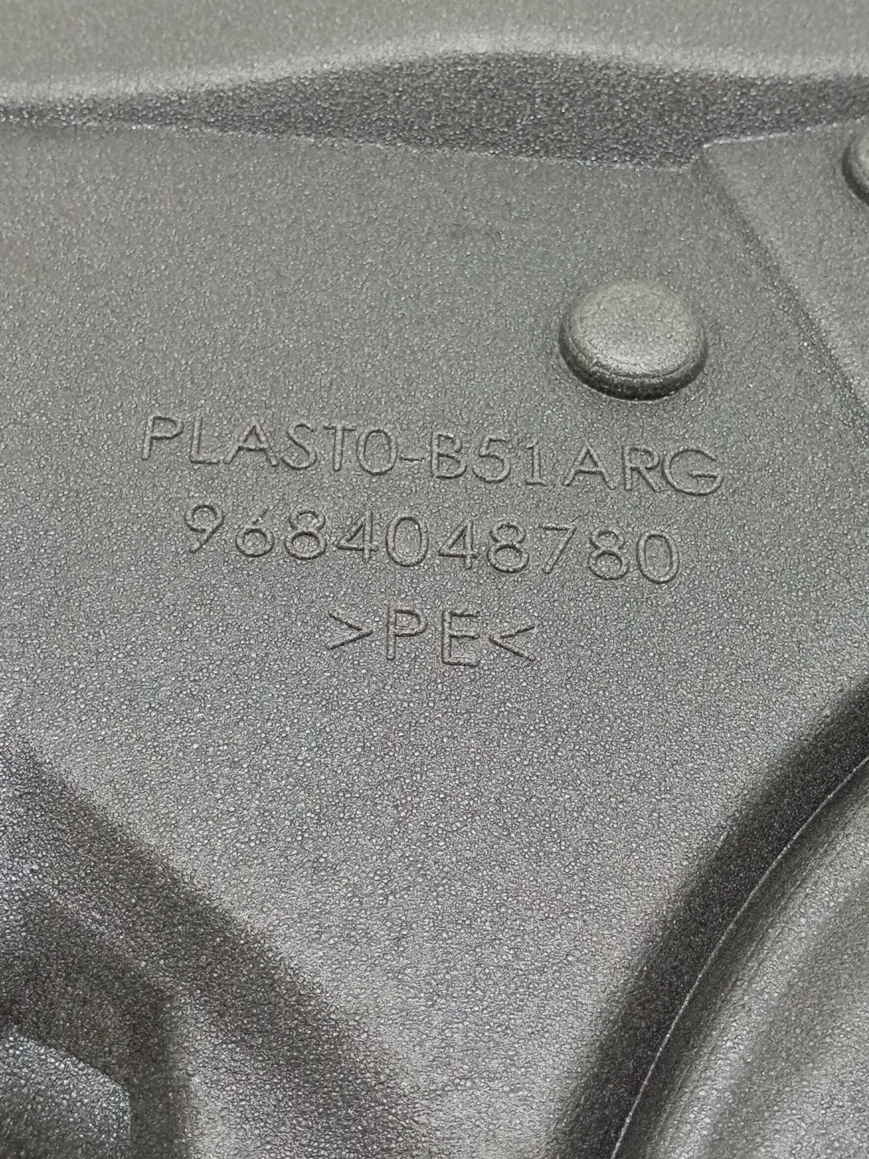 Forro Guarda Pó Porta Traseira Esquerda Citroen C4 2010 3
