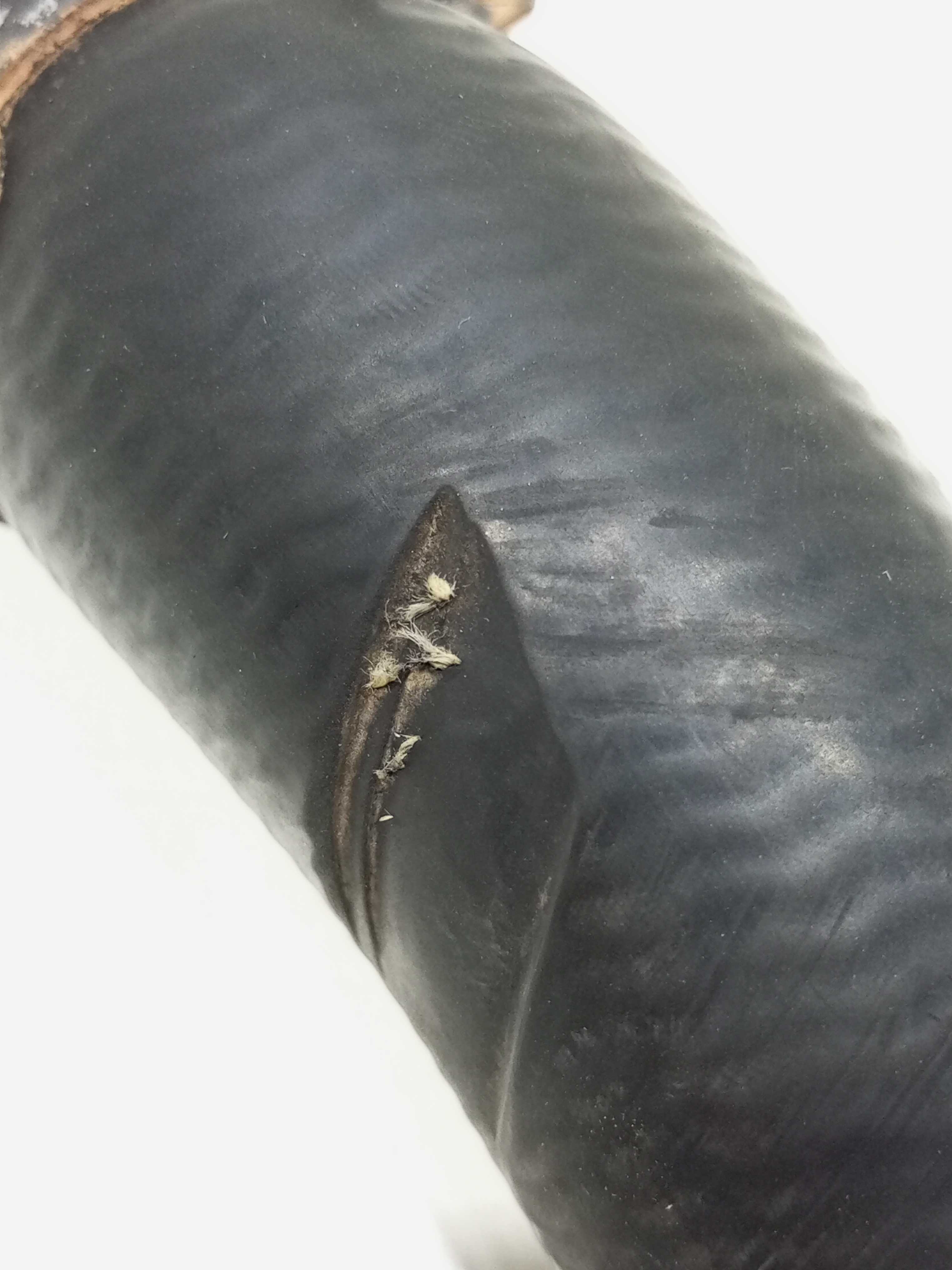 Mangueira Inferior Radiador Pajero Tr4 2007 4