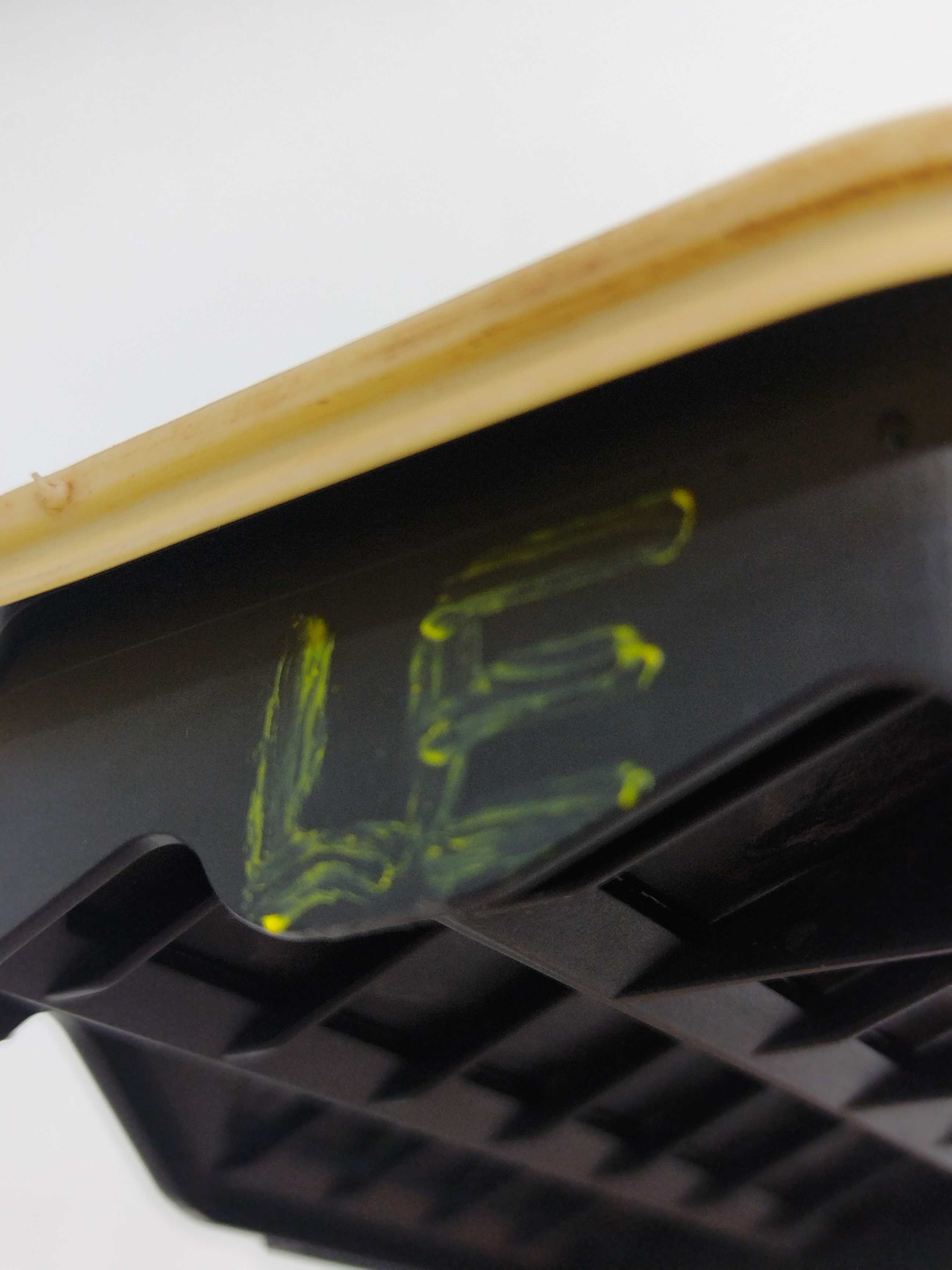 Grade Externa Porta Pó Ford Ka 2019 Traseiro Esquerdo 4