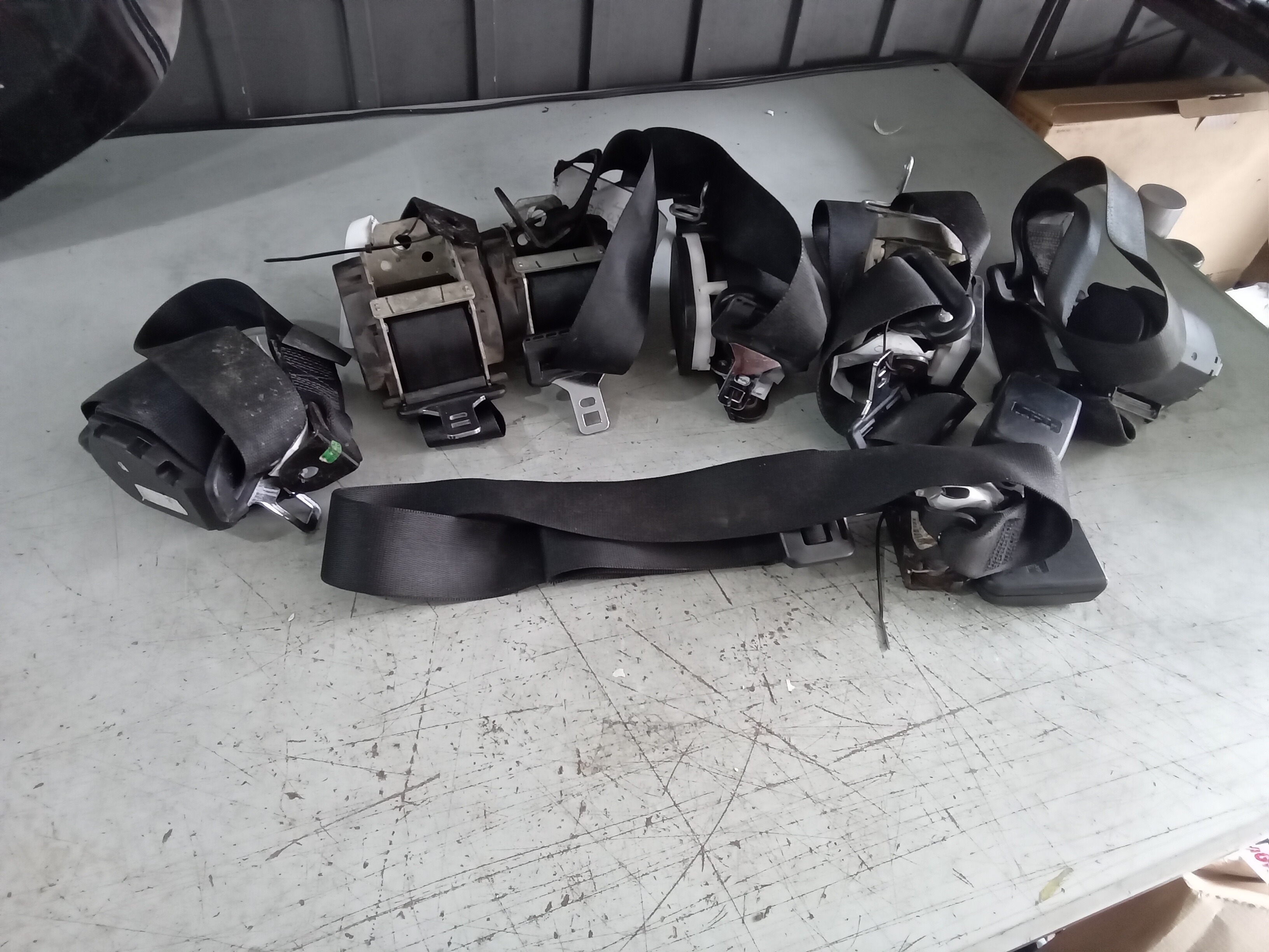 CINTOS DE SEGURANÇA FORD FOCUS 2009 ORIGINAL USADO