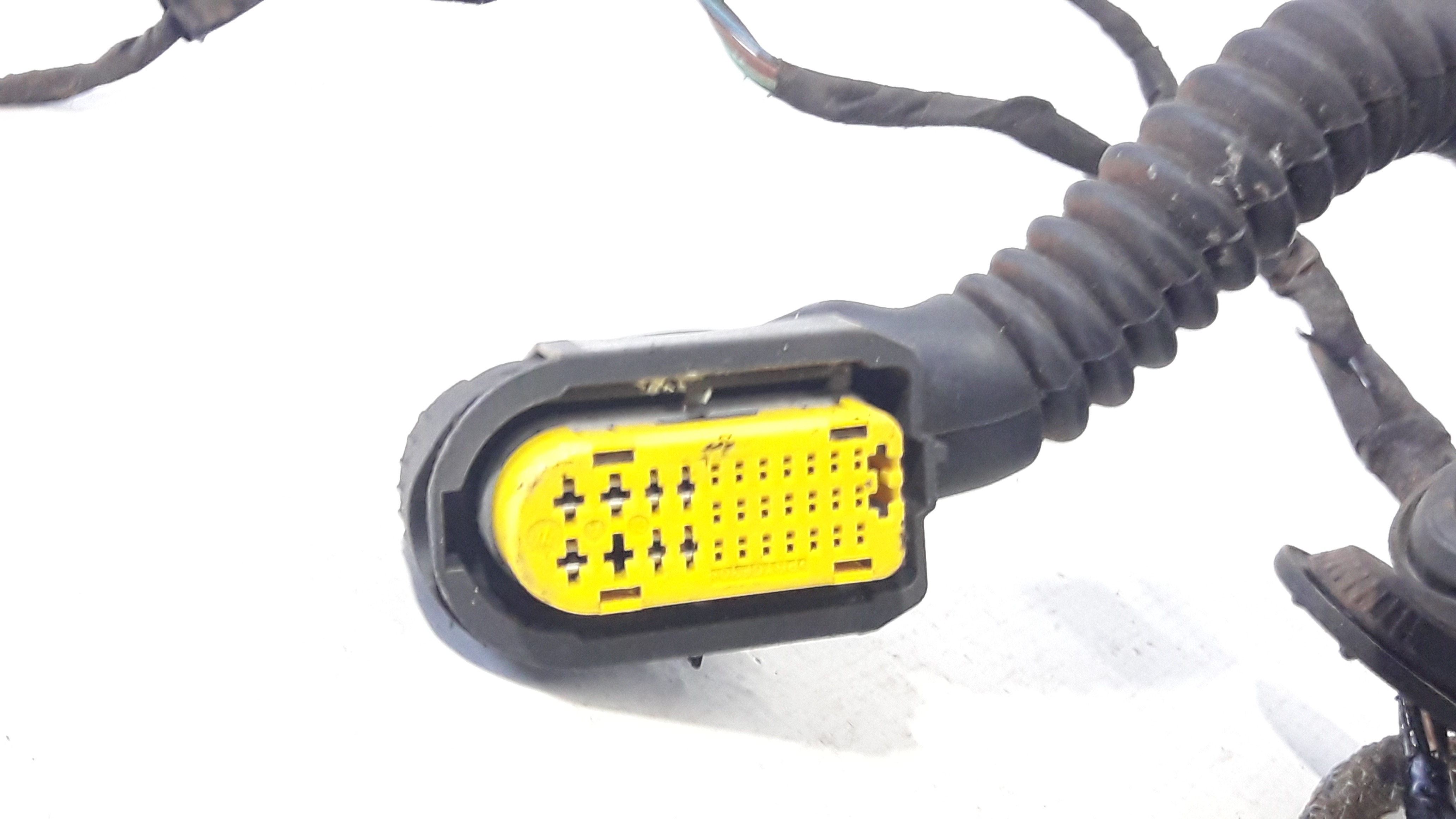 Chicote Porta Traseira Esquerda Fluence 11/15 241272497r 5