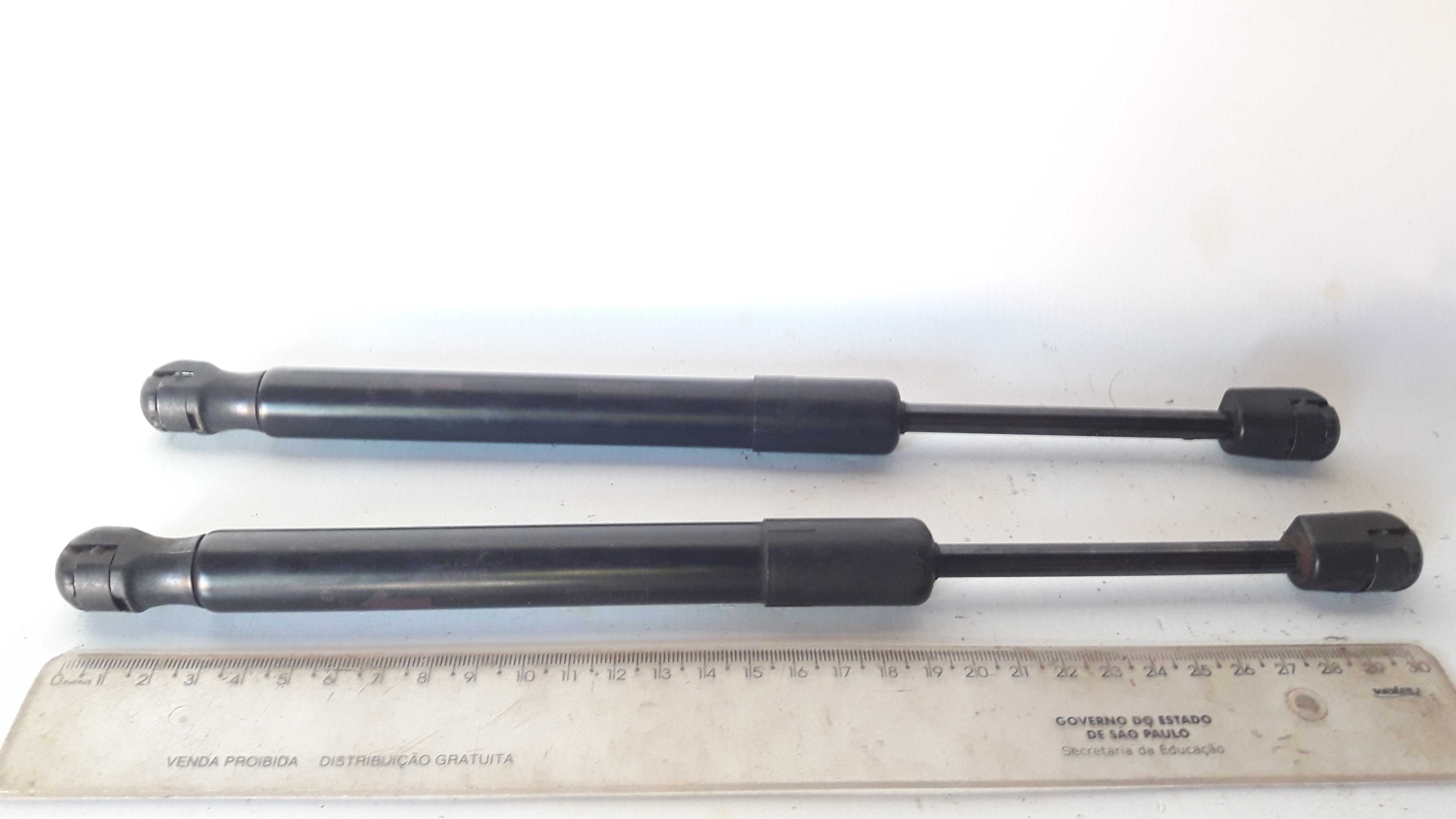 Par Amortecedor Tampa Traseira Malas Ford Fusion 10 11 12 2