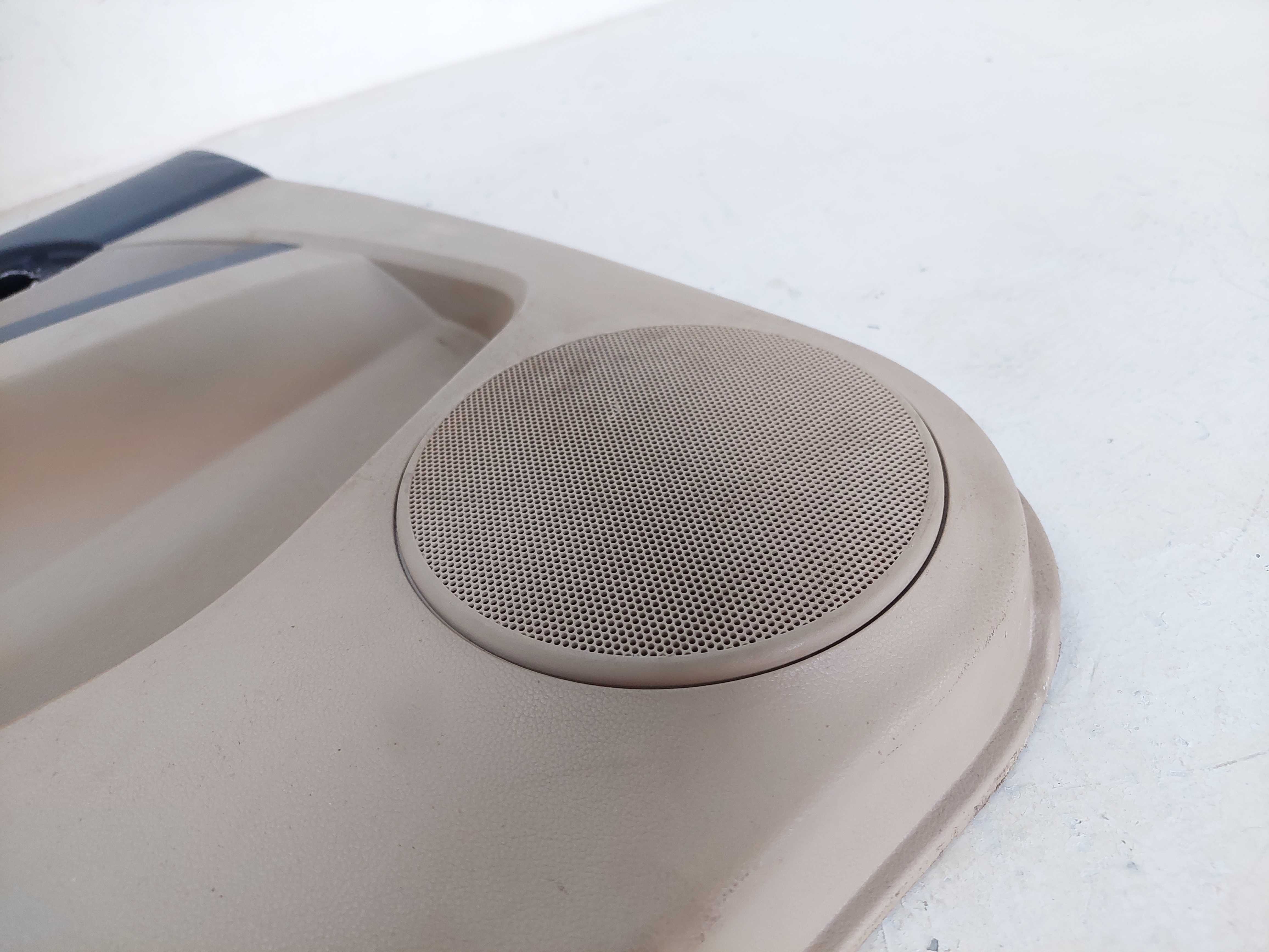 Forro De Porta Traseiro Esquerdo Chevrolet Captiva 2009 4