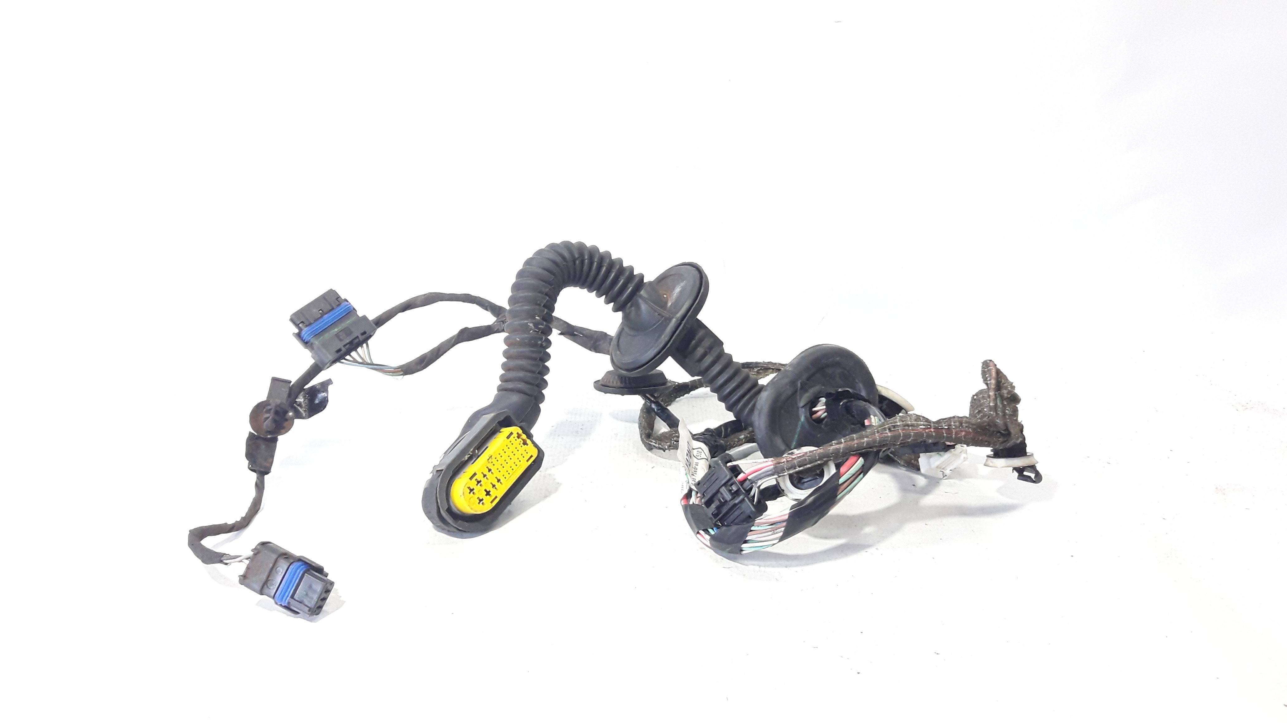Chicote Porta Traseira Esquerda Fluence 11/15 241272497r 1
