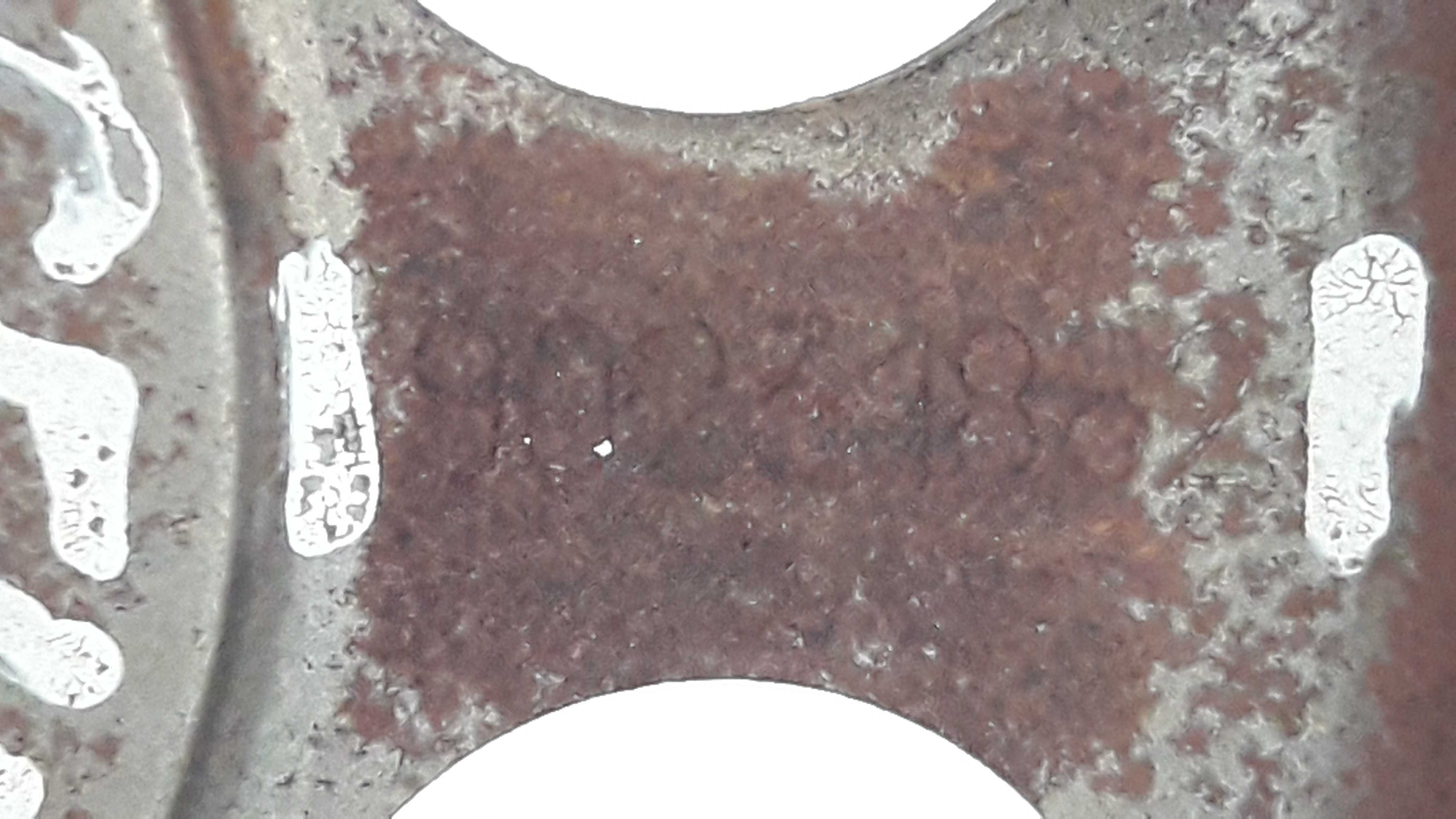 Engrenagem Comando Valvulas Celta 07 A 16 9023188 5