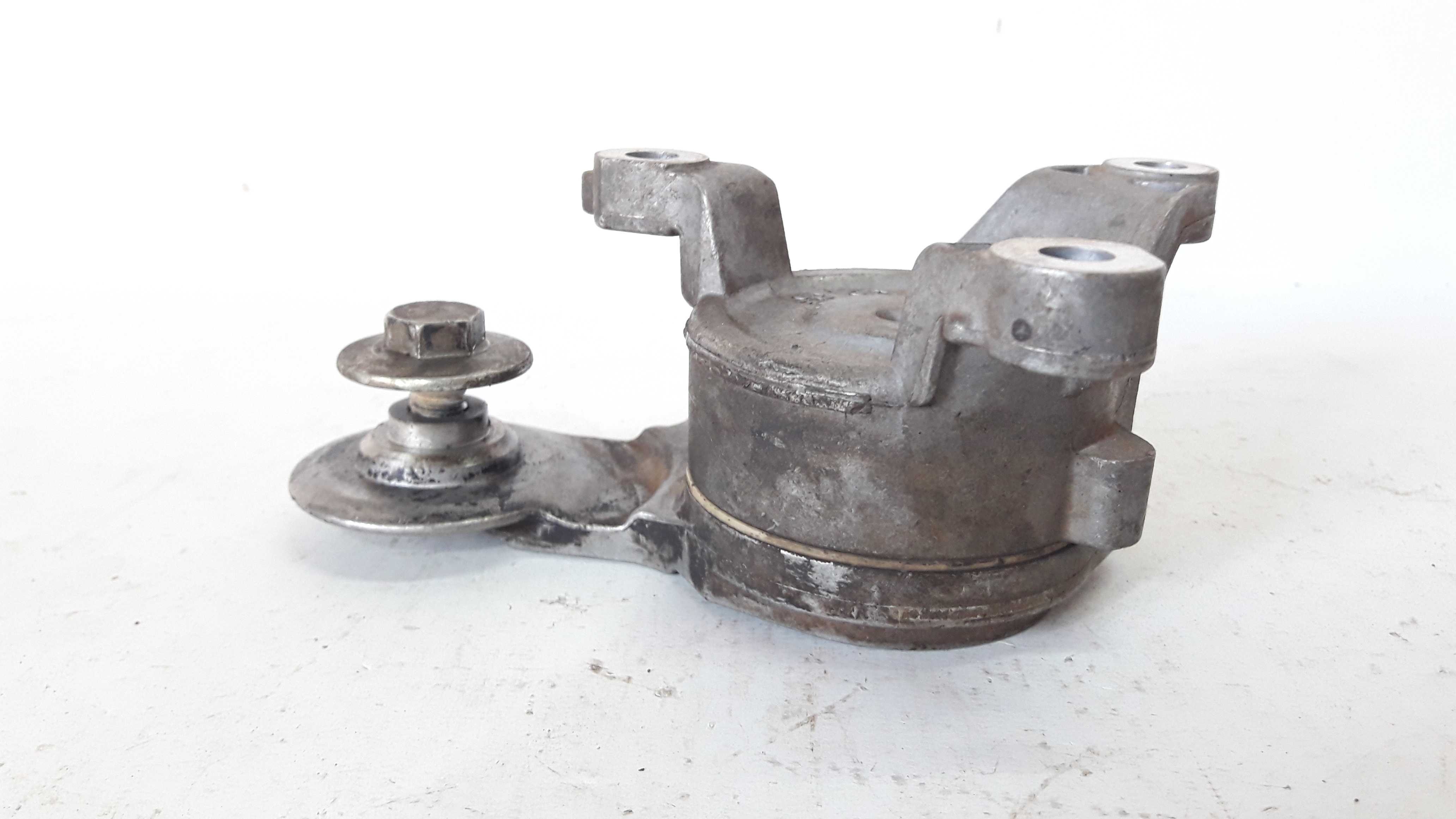 Tensor Correia Dentada C4 Pallas 2.0 16v 08 9 10 11 12 13 4