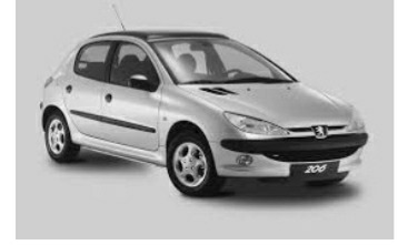 Braço Capo Esquerdo Peugeot 206 Original 4