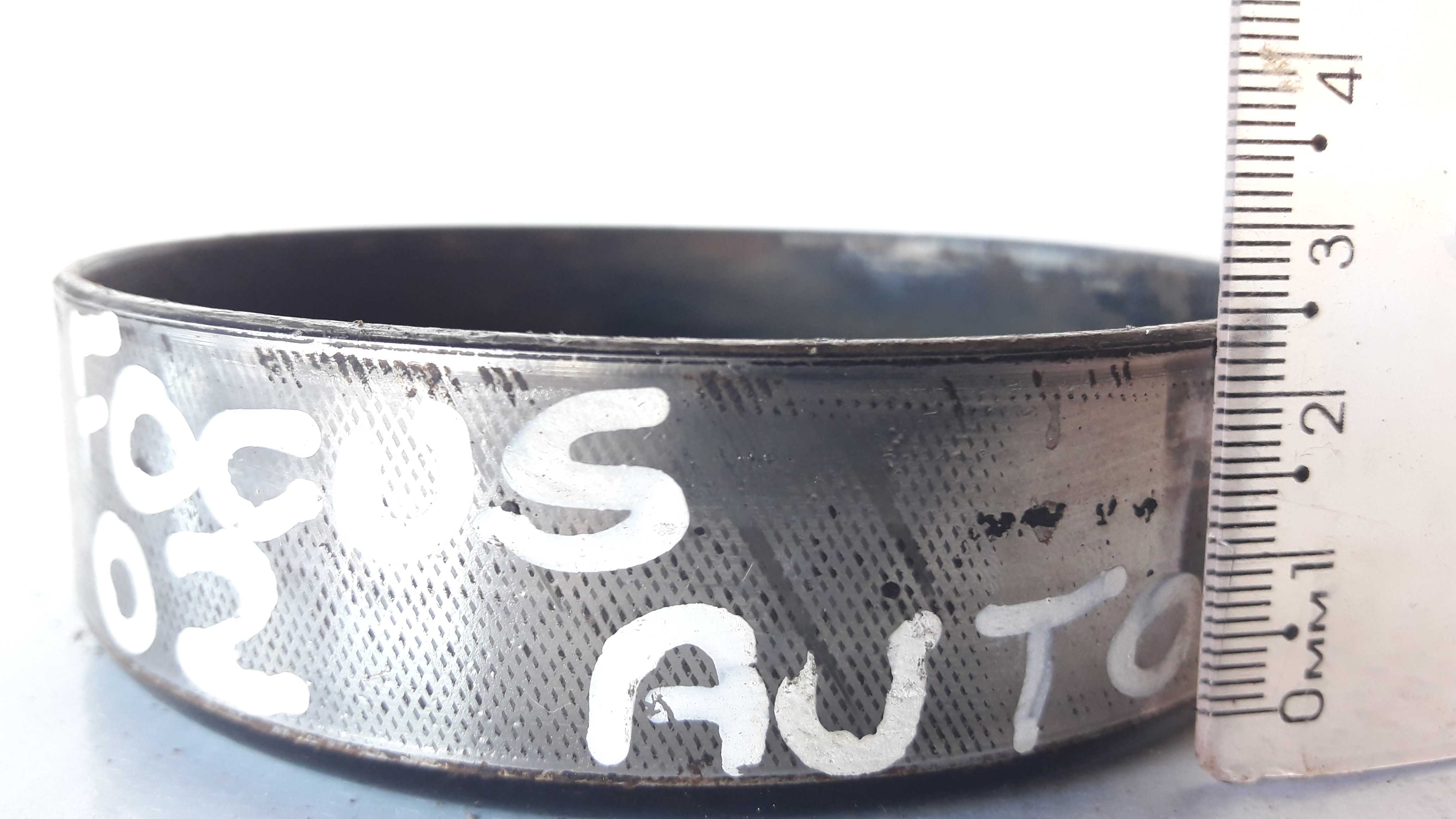 Polia Bomba Água  Ford Focus 1.8 Aut Original 5