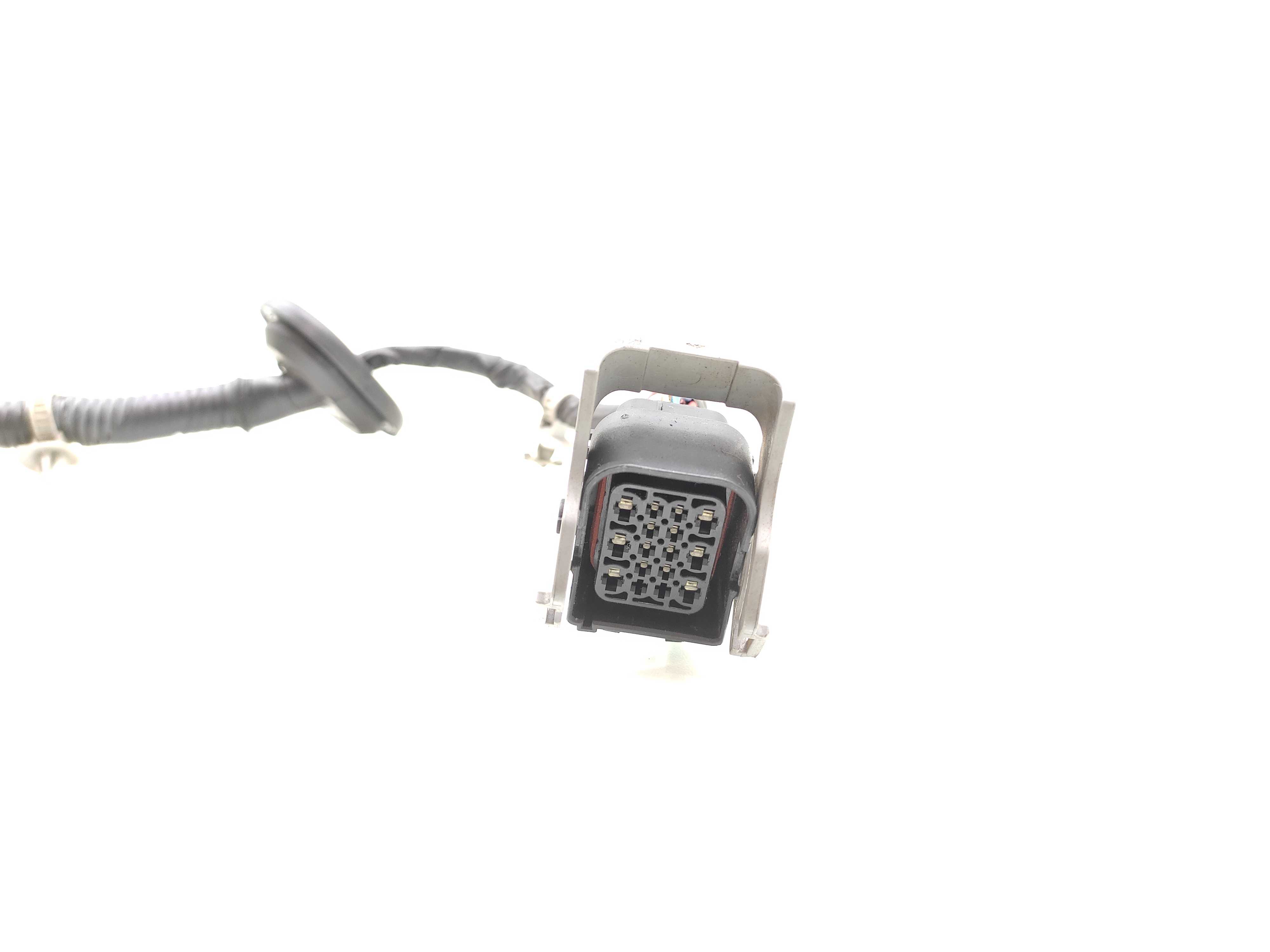 Chicote Porta Traseira Direita Kia Carnival 2008 2