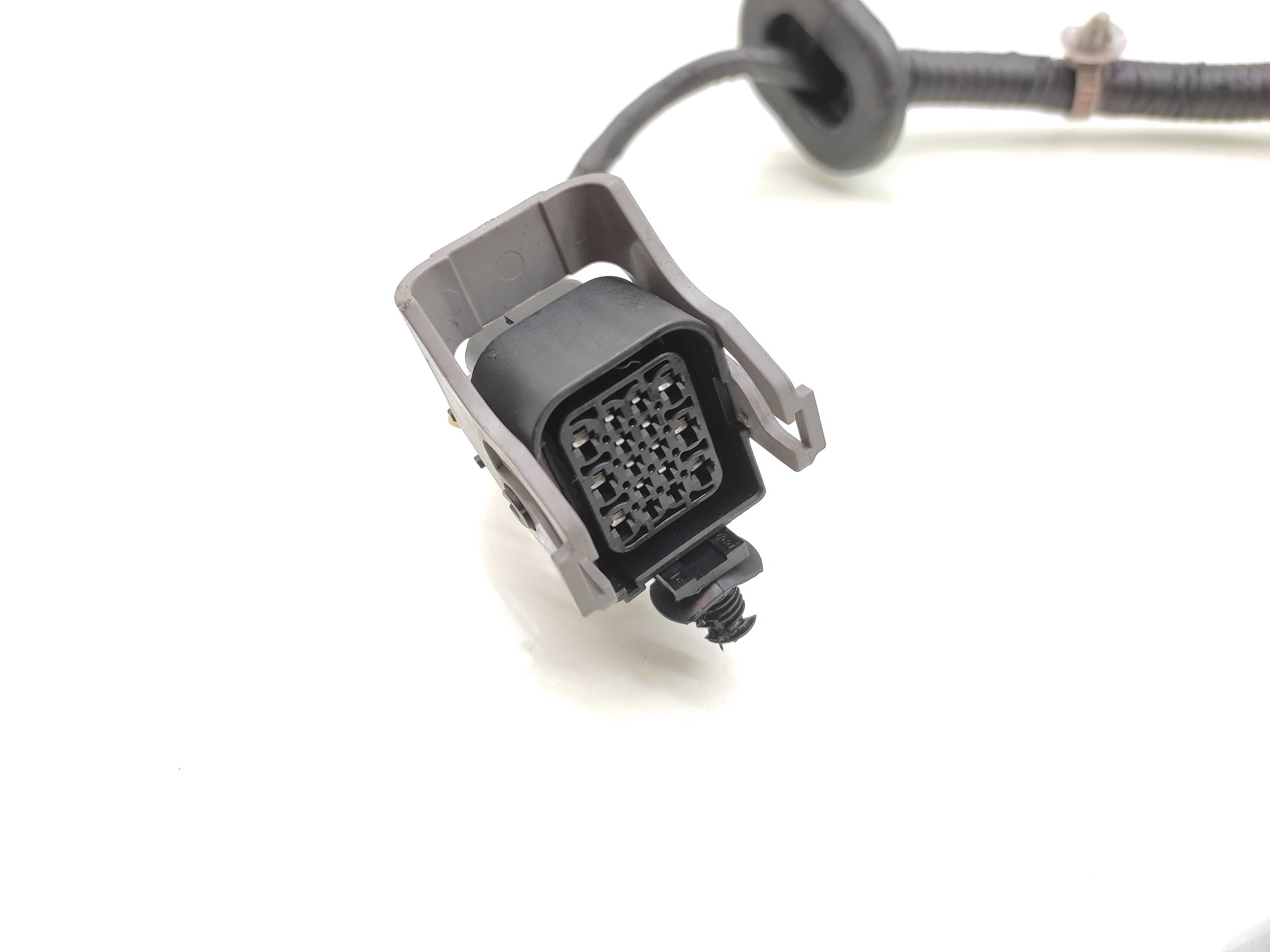 Chicote Porta Traseira Esquerda Kia Carnival 2008 2