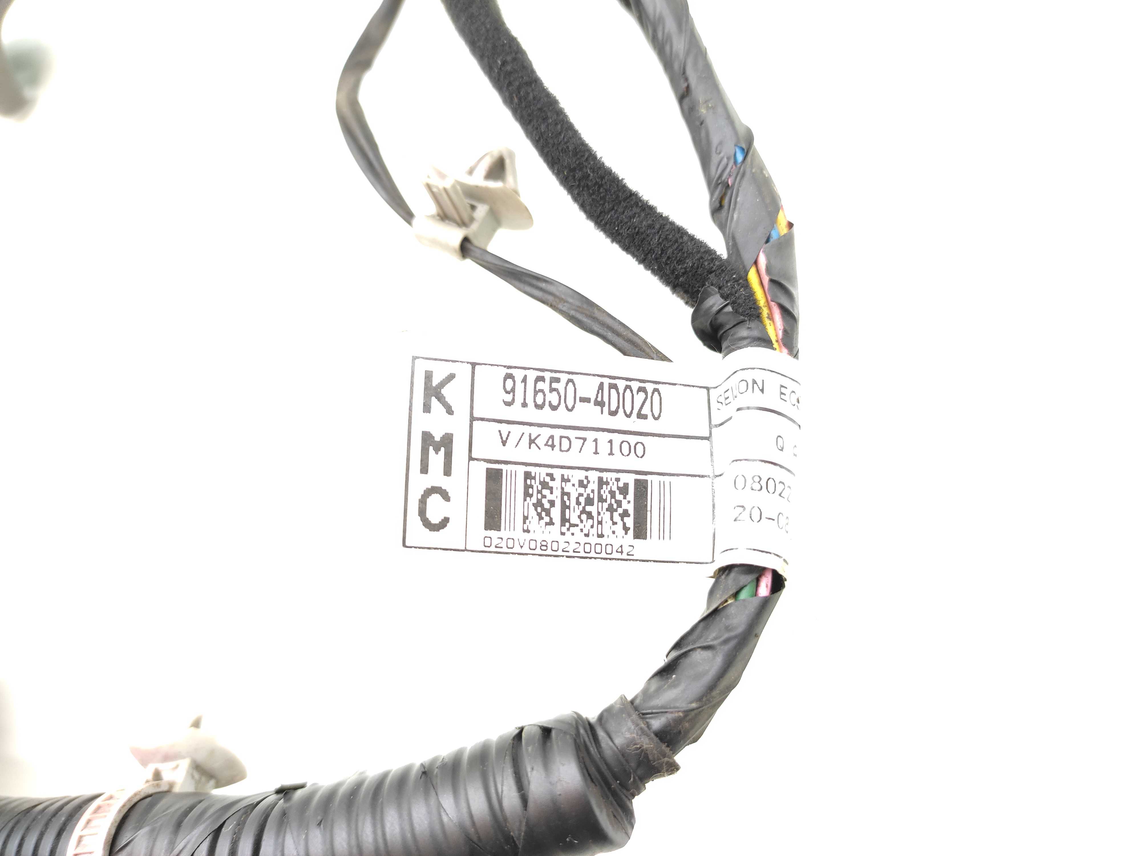 Chicote Porta Traseira Esquerda Kia Carnival 2008 3