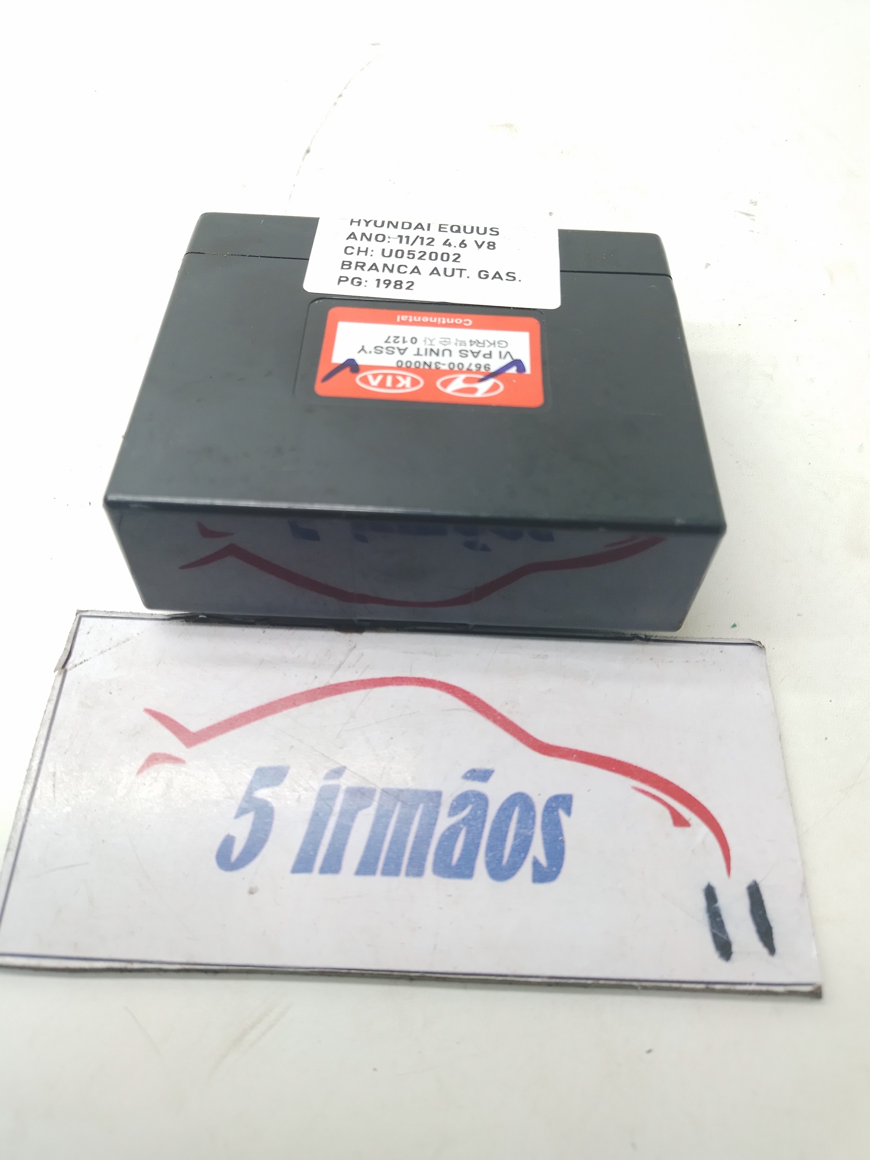 Módulo Estacionamento Hyundai Equus V8 4.6 2011 / 2012