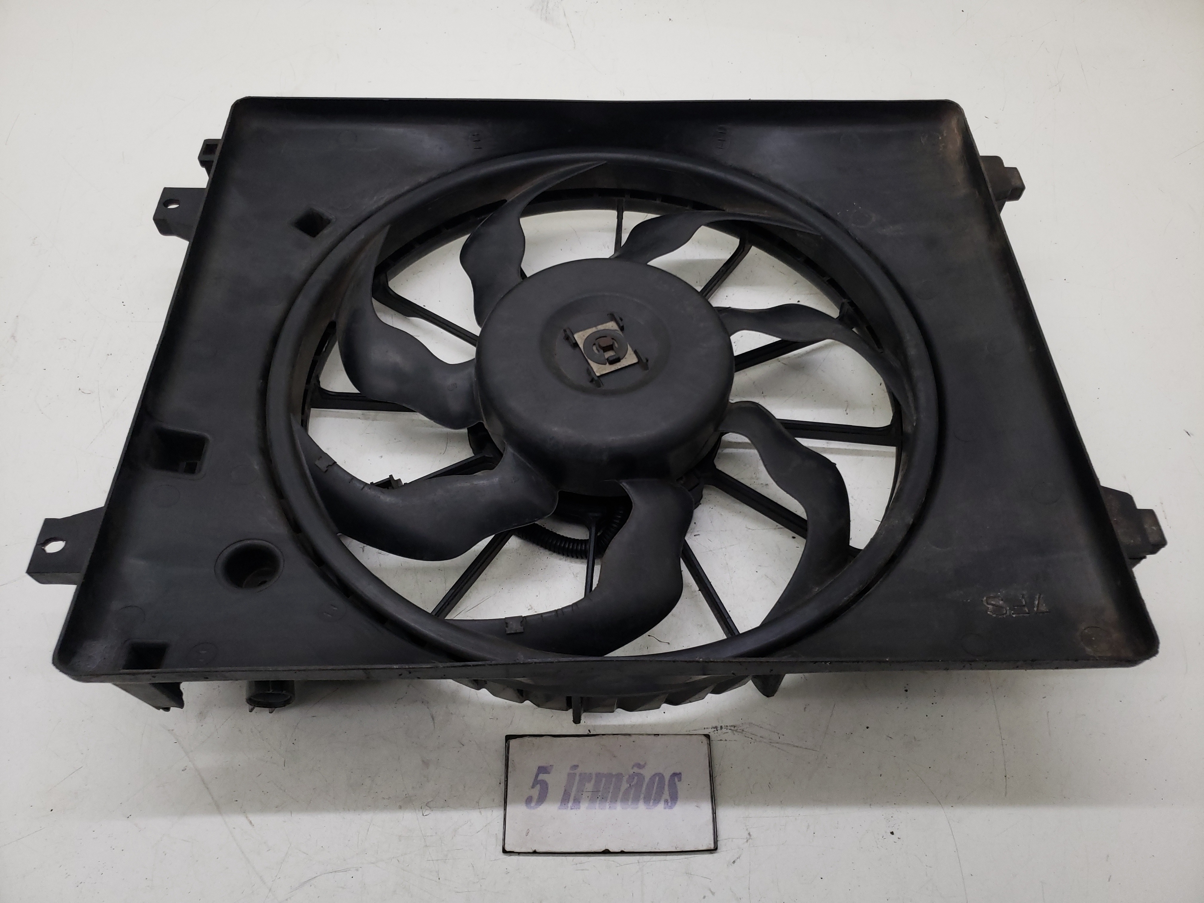 Ventoinha Radiador Hyundai Veracruz 3.8 V6 2009 / 2010