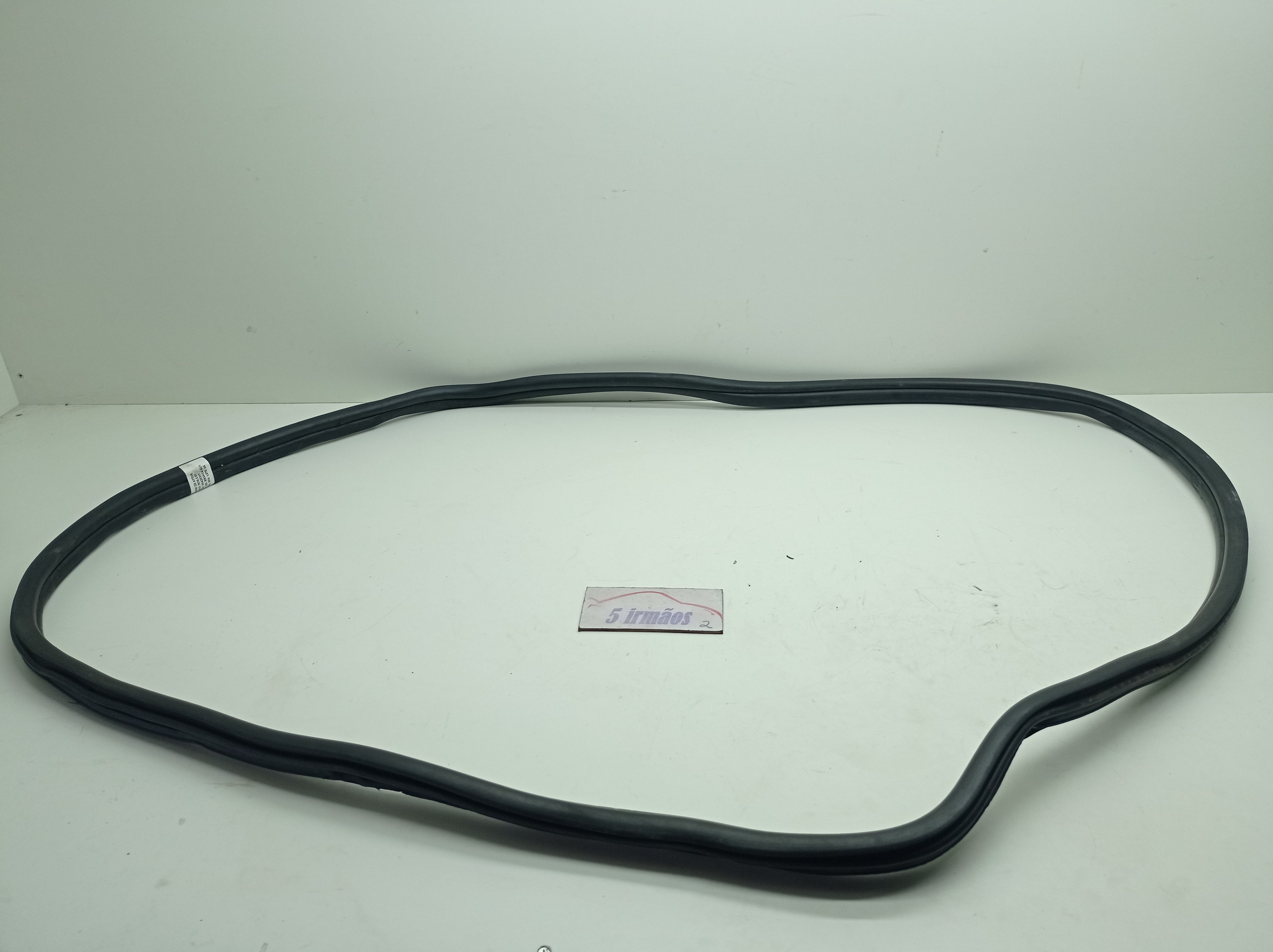 Borracha Porta Traseira Esquerda Bmw 120i 2.0 Turbo 2016