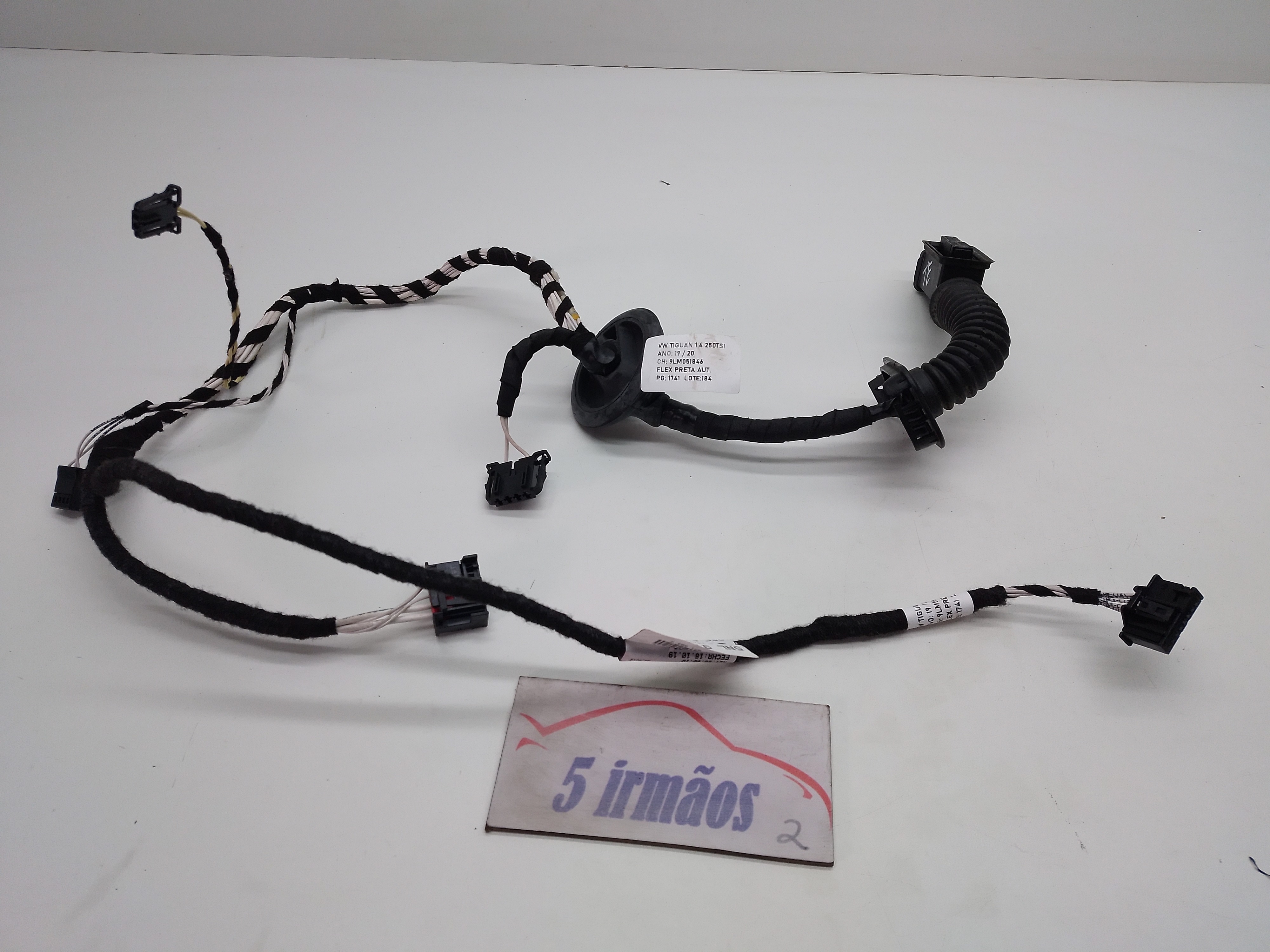 Chicote Porta Traseira Esquerda Vw Tiguan 250 Tsi 1.4 2020