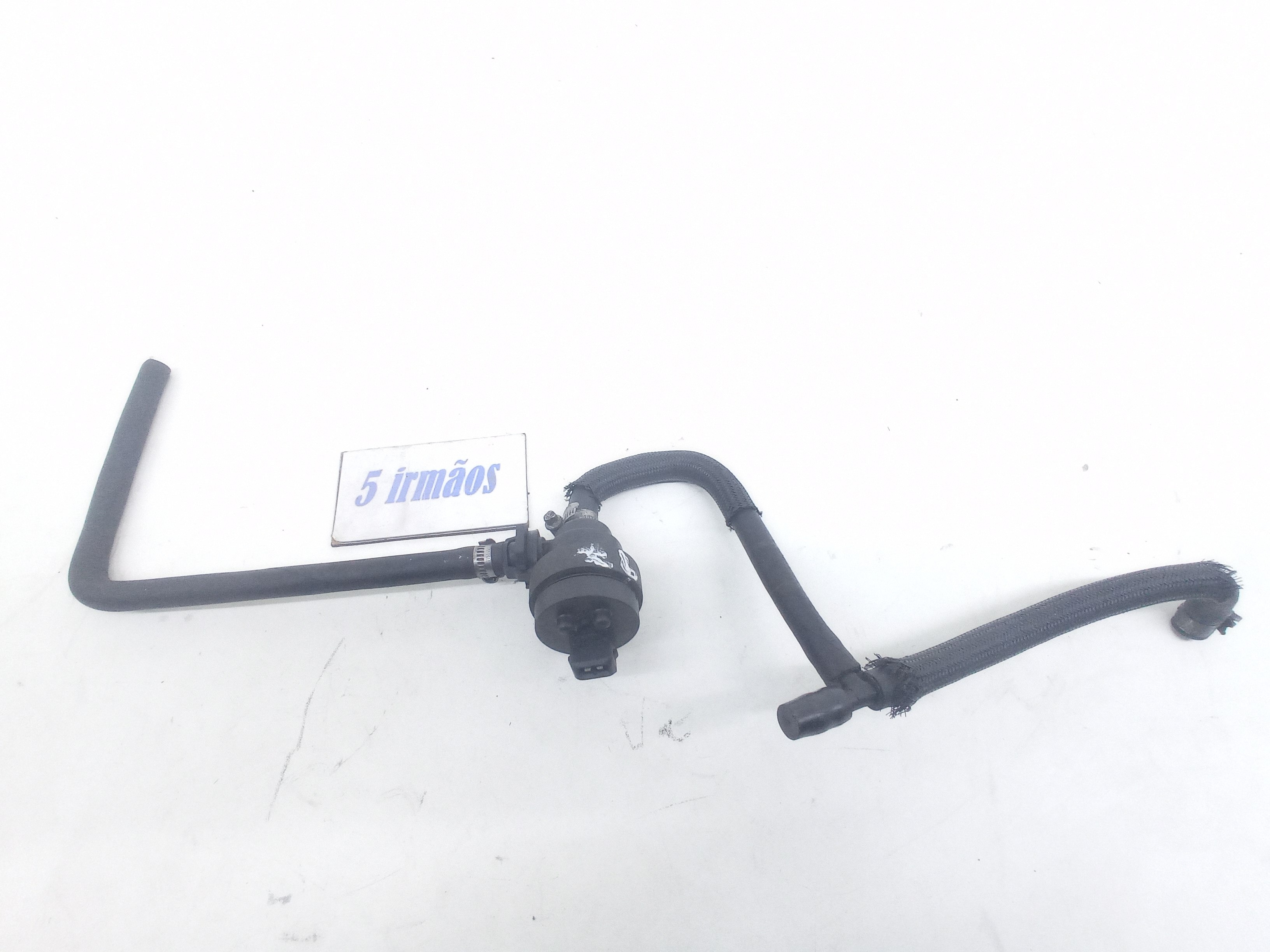 Válvula Canister Bmw 540i 4.4 V8 1997 / 1998 N1748875
