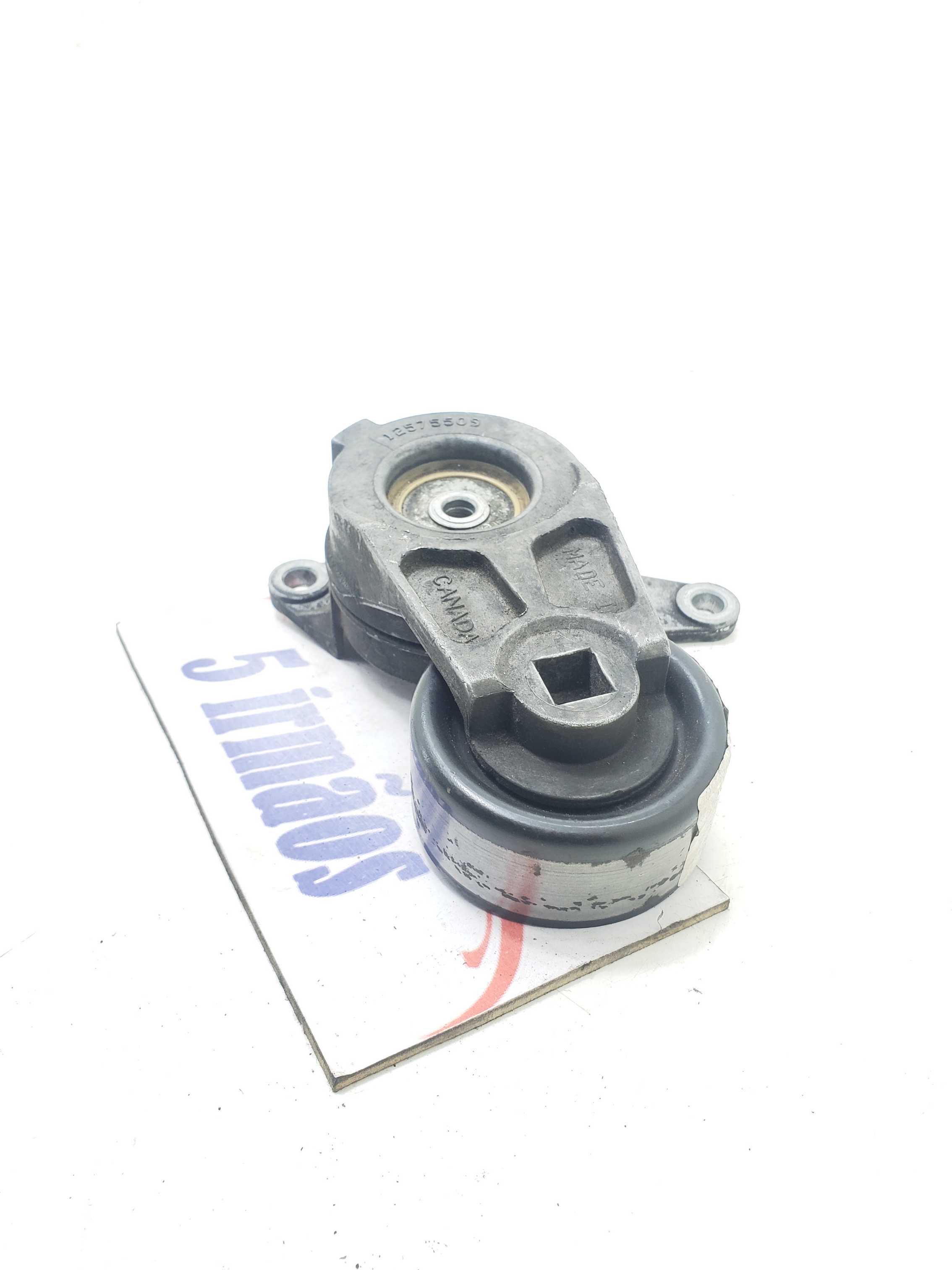 Tensionador Correia Gm Ômega 3.6 V6 2007 / 2008 N12575509
