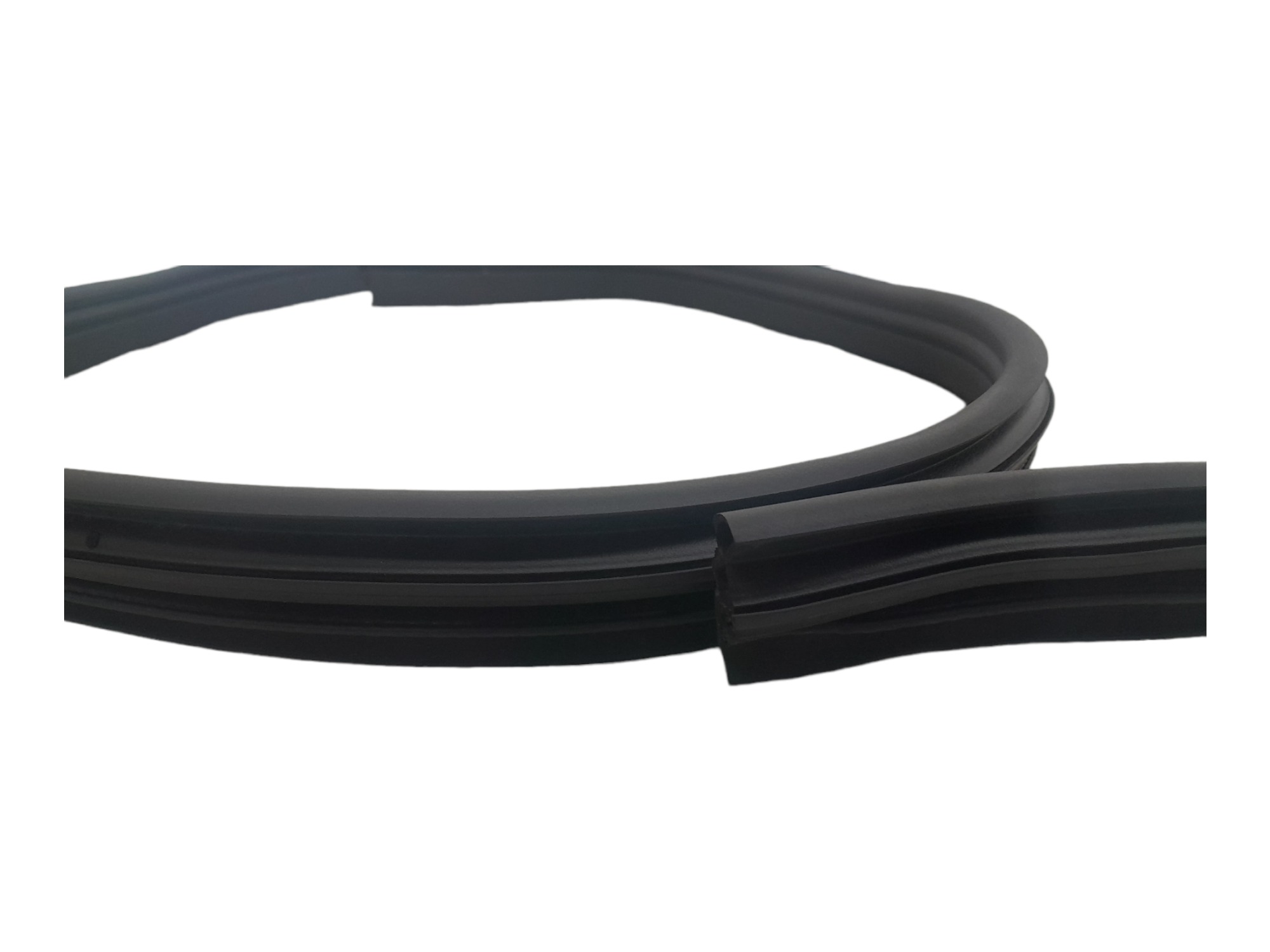 Borracha Porta Traseira Esquerda Renault Kwid Outsider 2024 3