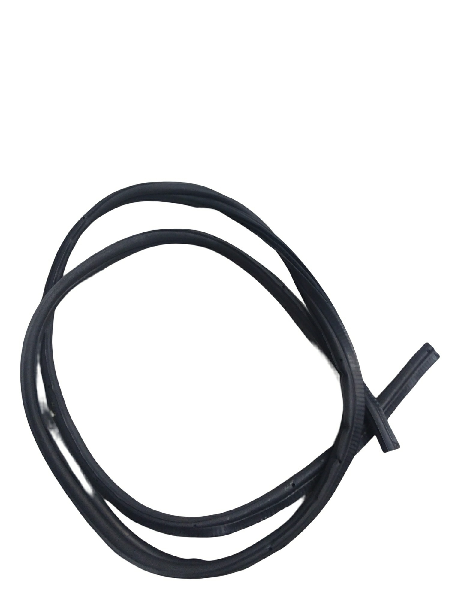 Borracha Porta Ford Fiesta 1.0 2010 1