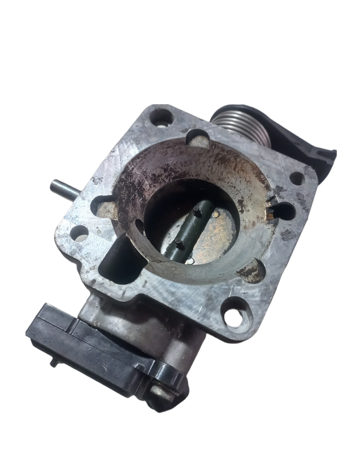 Tbi Corpo De Borboleta Celta 1.0 2002 2999c10 2