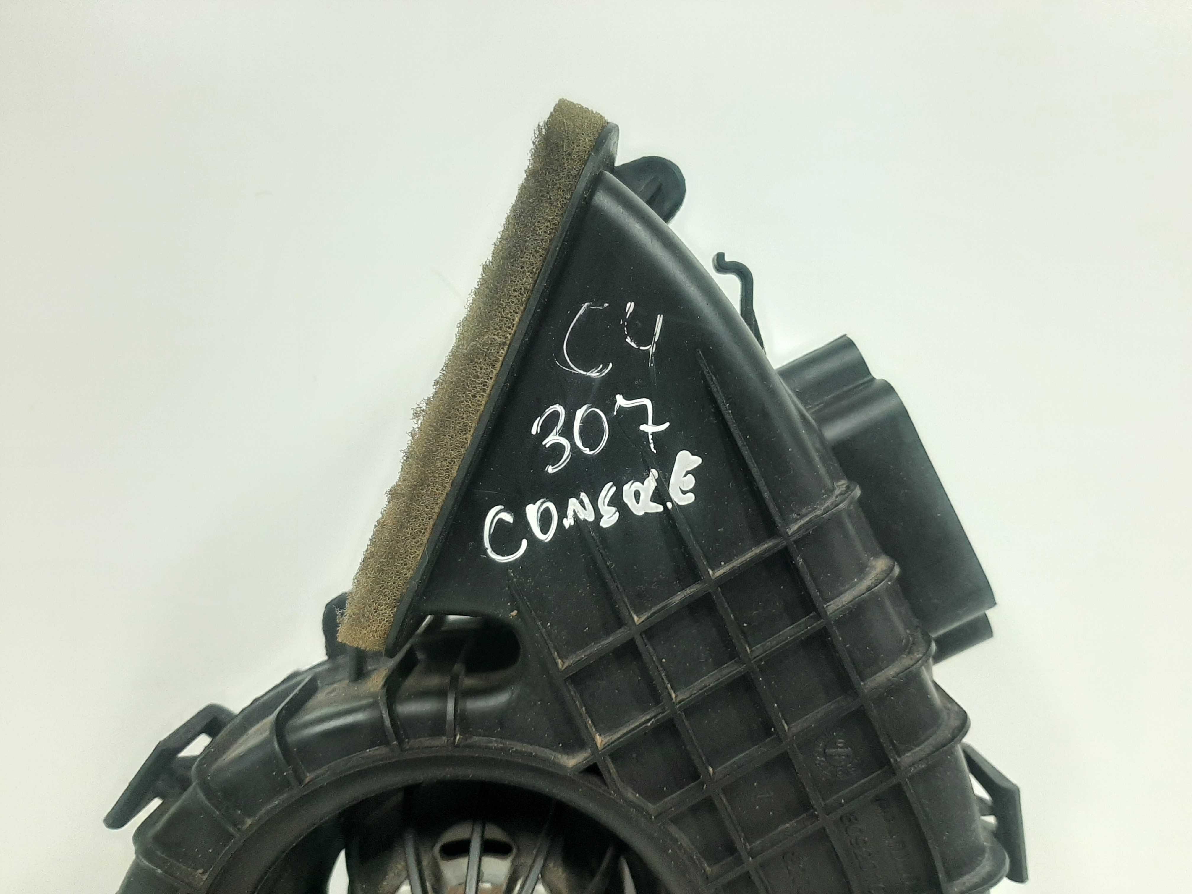 Motor Ar Forçado C4 Pallas Hatch Vtr 2.0 16v 2007 A 2013 2