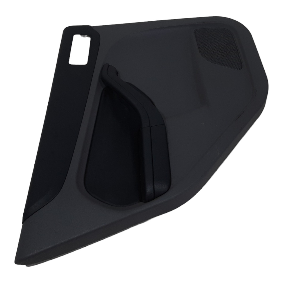 Forro Porta Traseiro Esquerdo Ford Focus 2009 A 2013 6