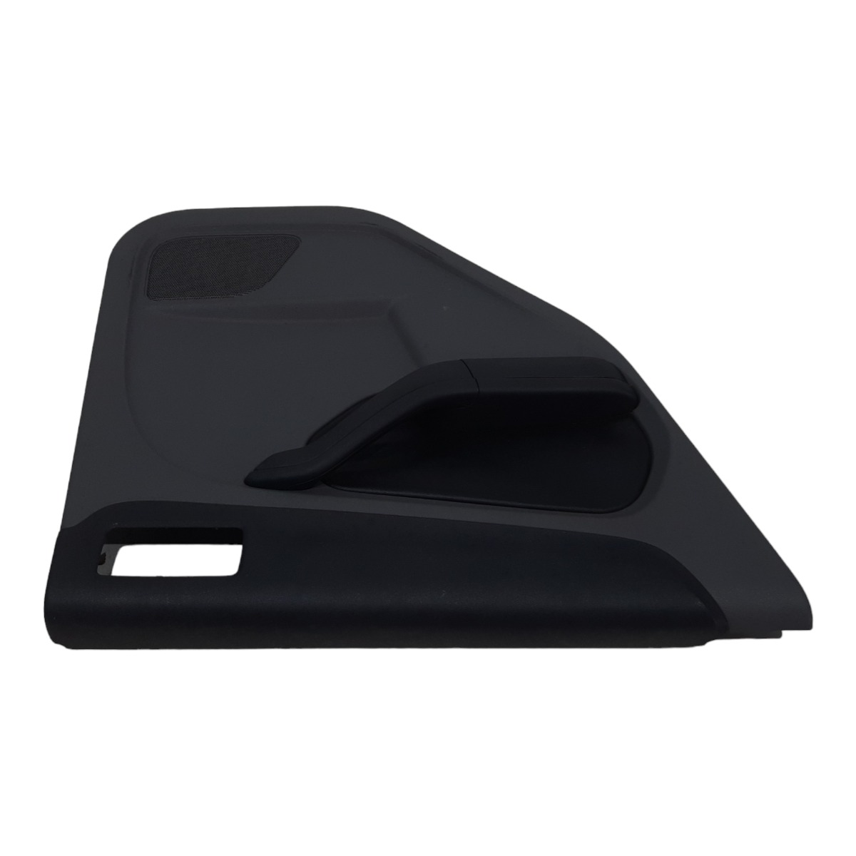 Forro Porta Traseiro Esquerdo Ford Focus 2009 A 2013 2