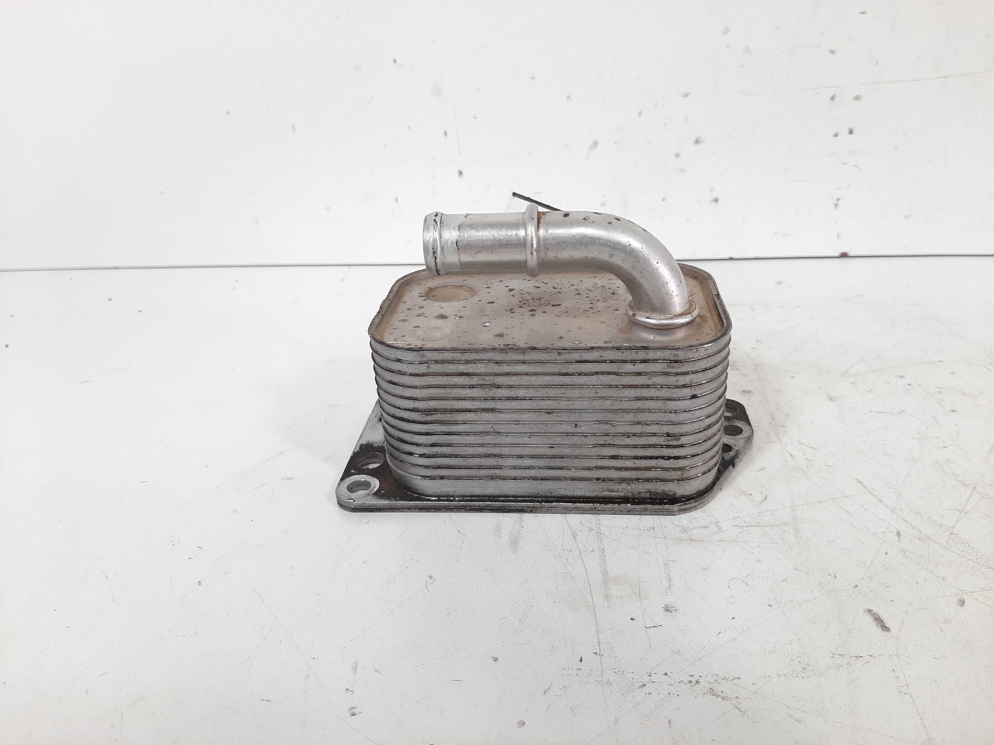 Filtro Óleo Citroen C4 Picasso 2.0 2013 2014 2015 A 2019 2