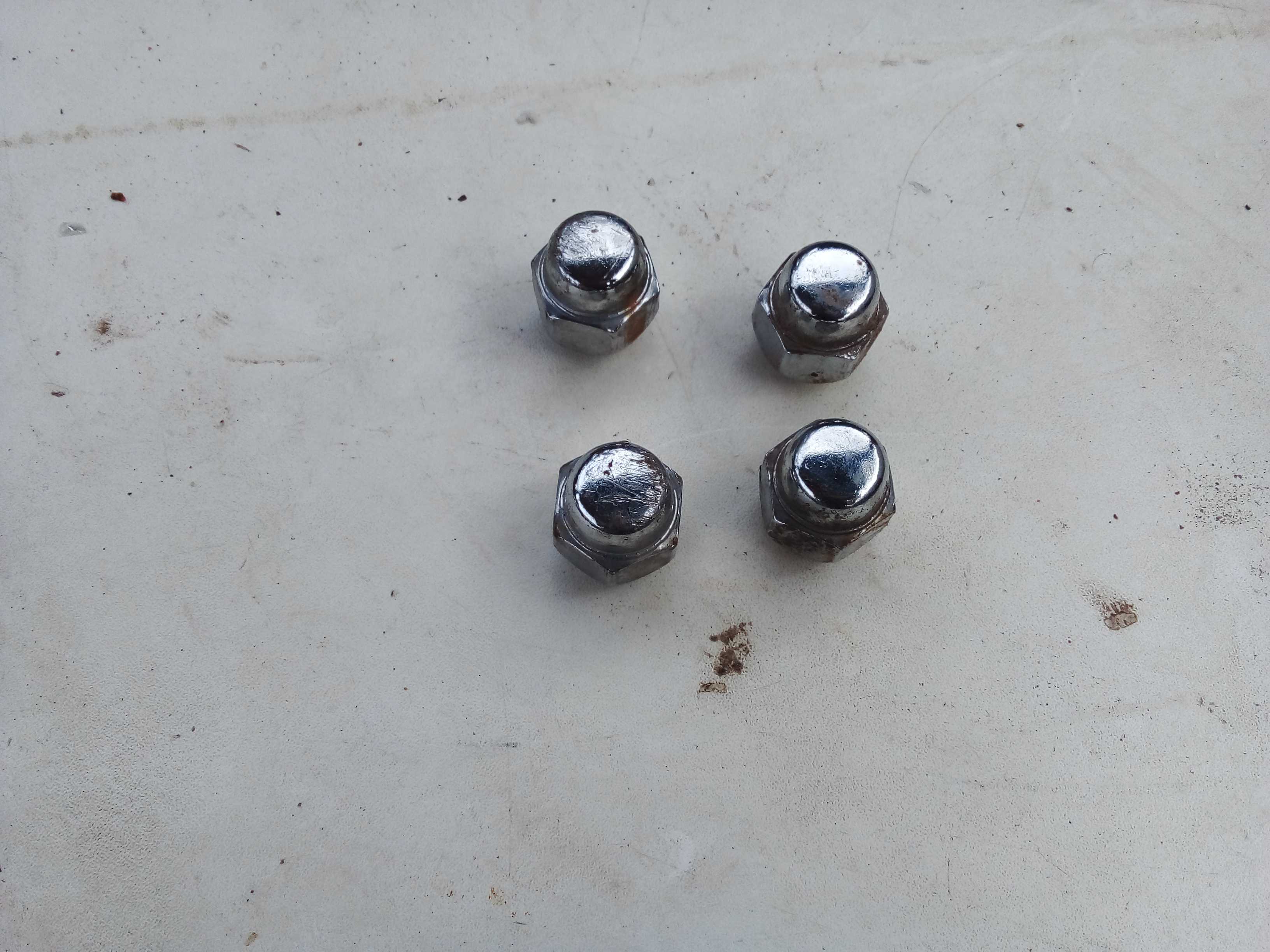 KIT PORCA RODA VERSA 2019 1