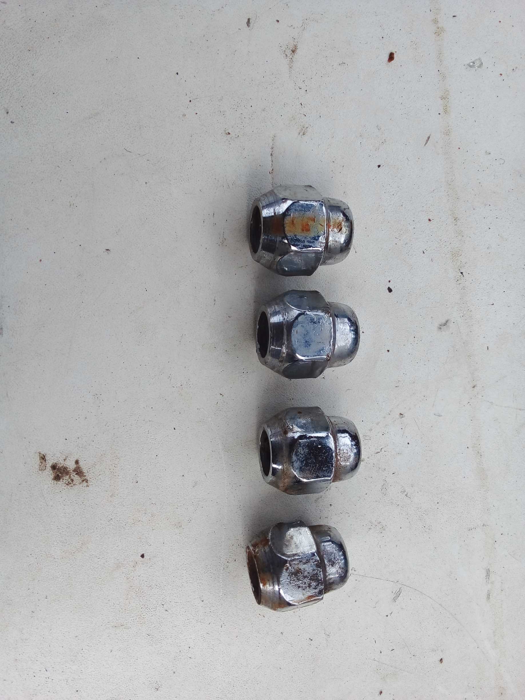KIT PORCA RODA VERSA 2019 2