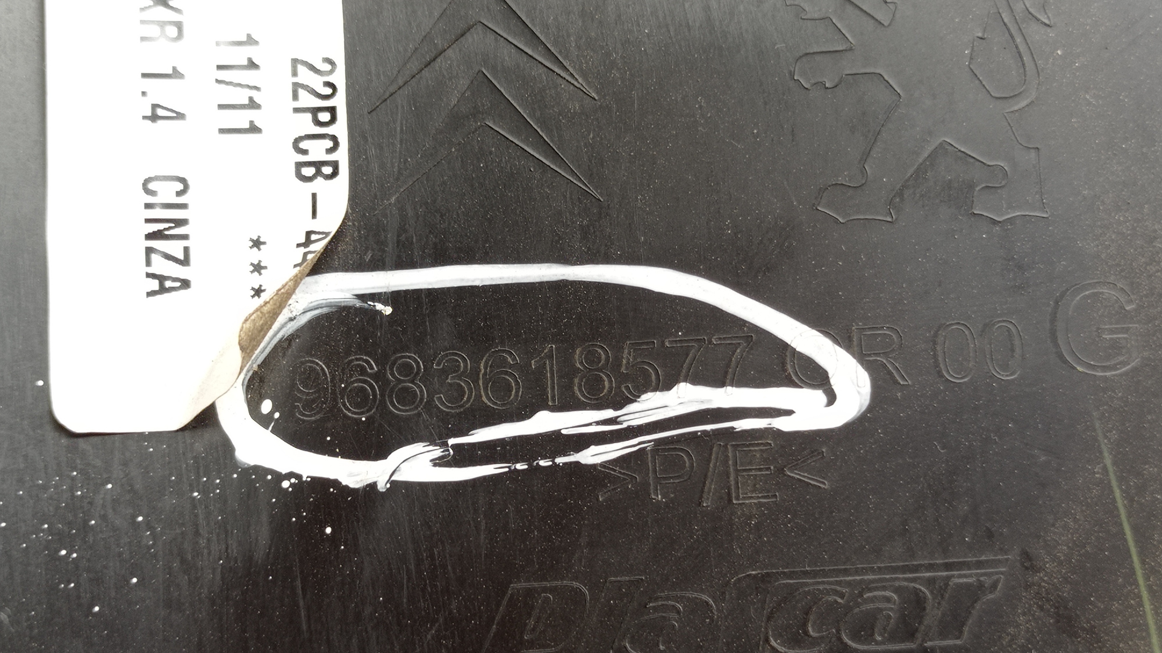 9683618577  Acabamento Soleira Traseira L e Peugeot 207 3