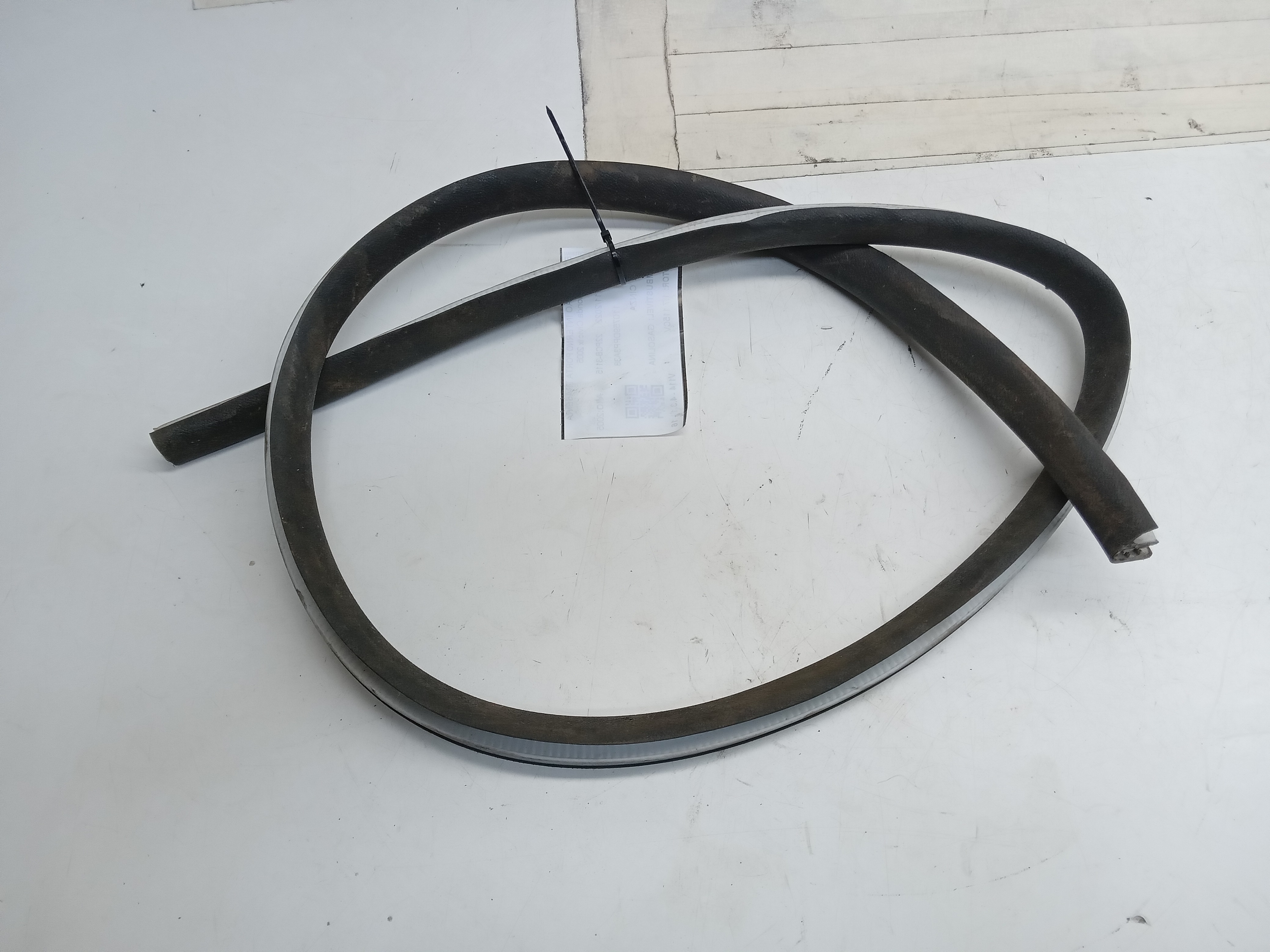 BORRACHA INTERNA PORTA TRAS LD Honda Civic lx 2005 1