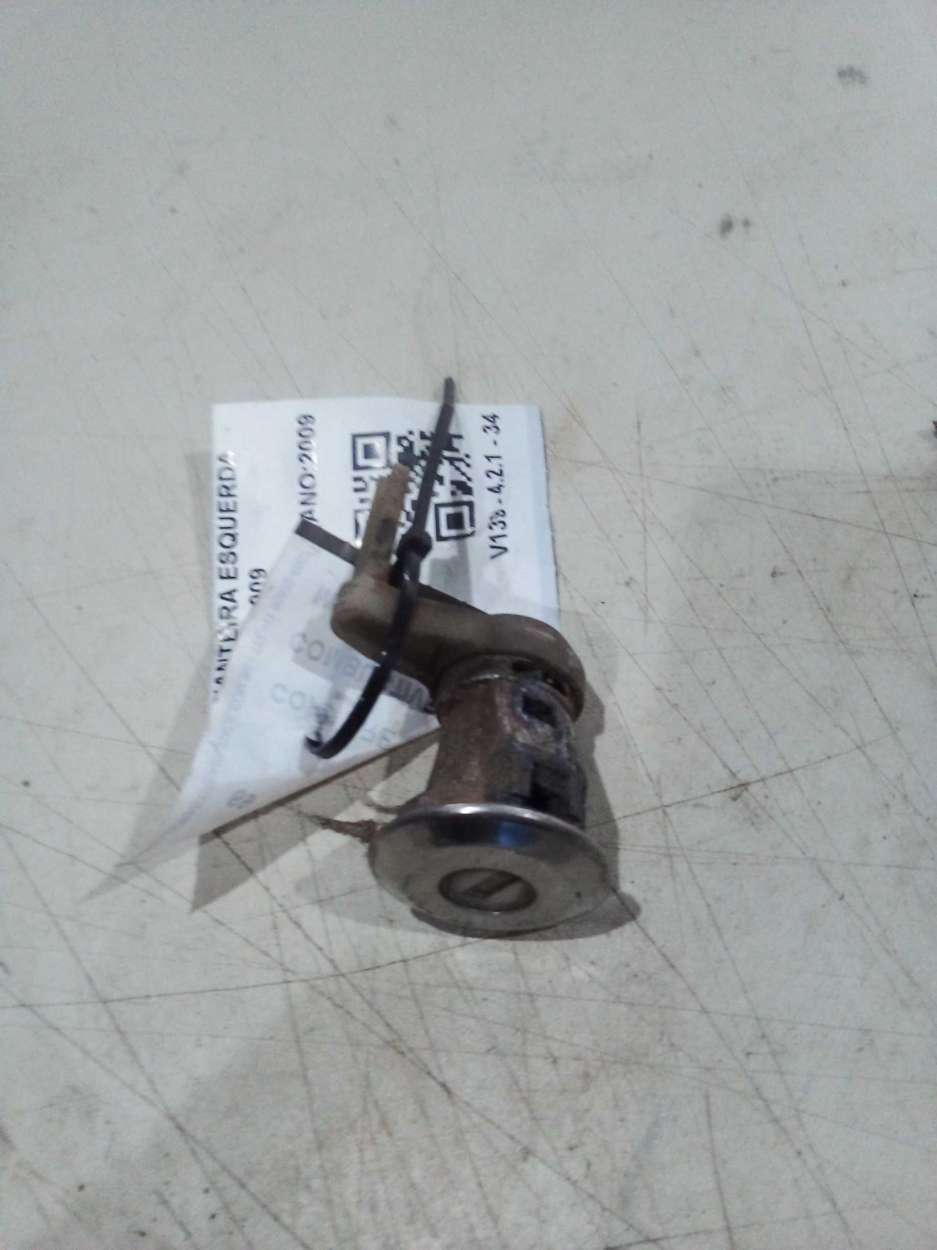 MIOLO PORTA DIANTEIRA ESQUERDA Peugeot 206 2009 2