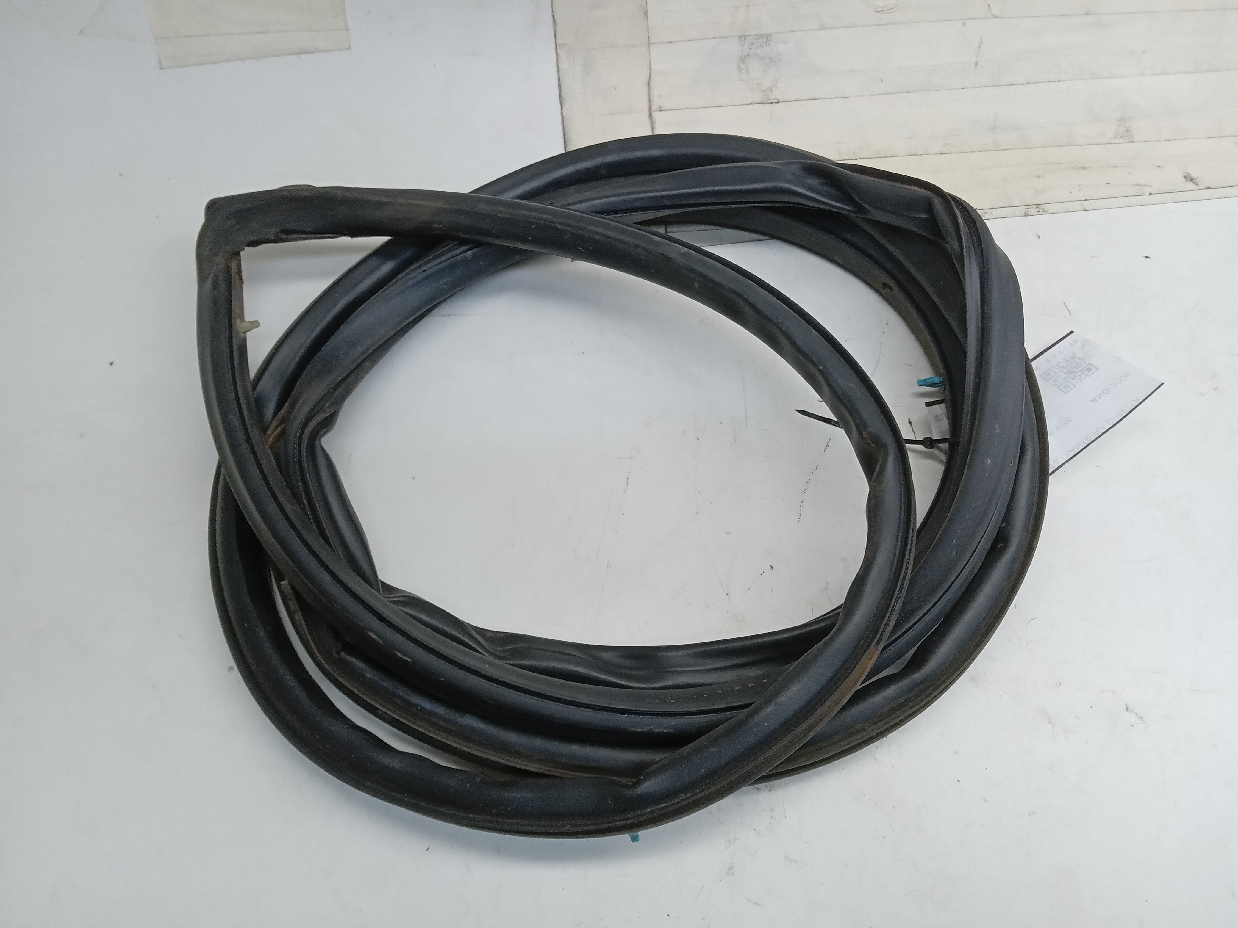 BORRACHA PORTA DIANTEIRA LD Honda Civic lx 2005 2