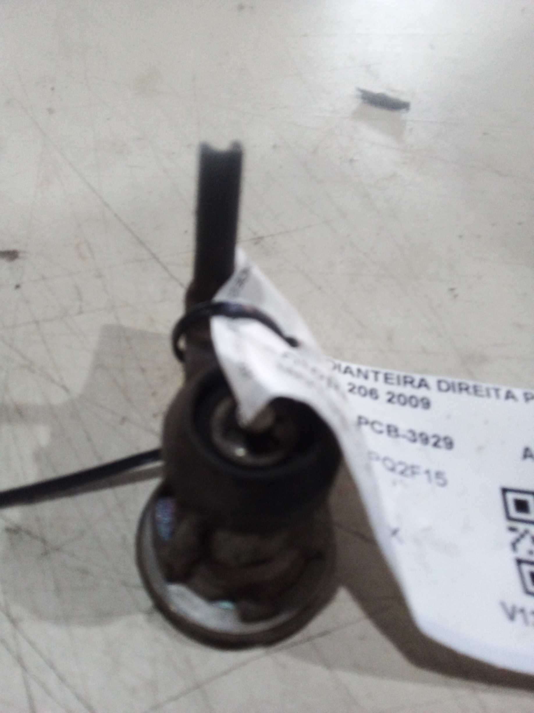 MIOLO PORTA DIANTEIRA DIREITA Peugeot 206 2009