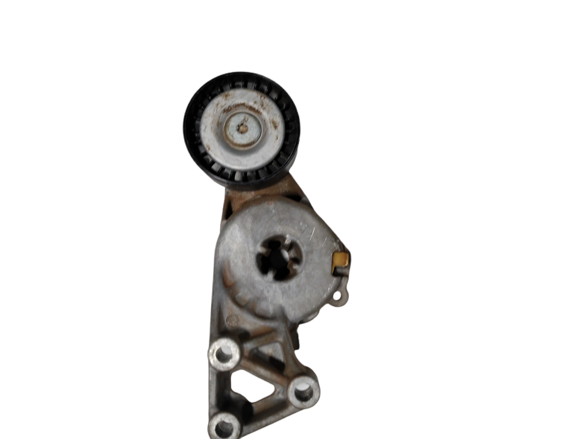 Tensor Esticador Correia Alternador Vw Golf 2.0 2001 V454 1