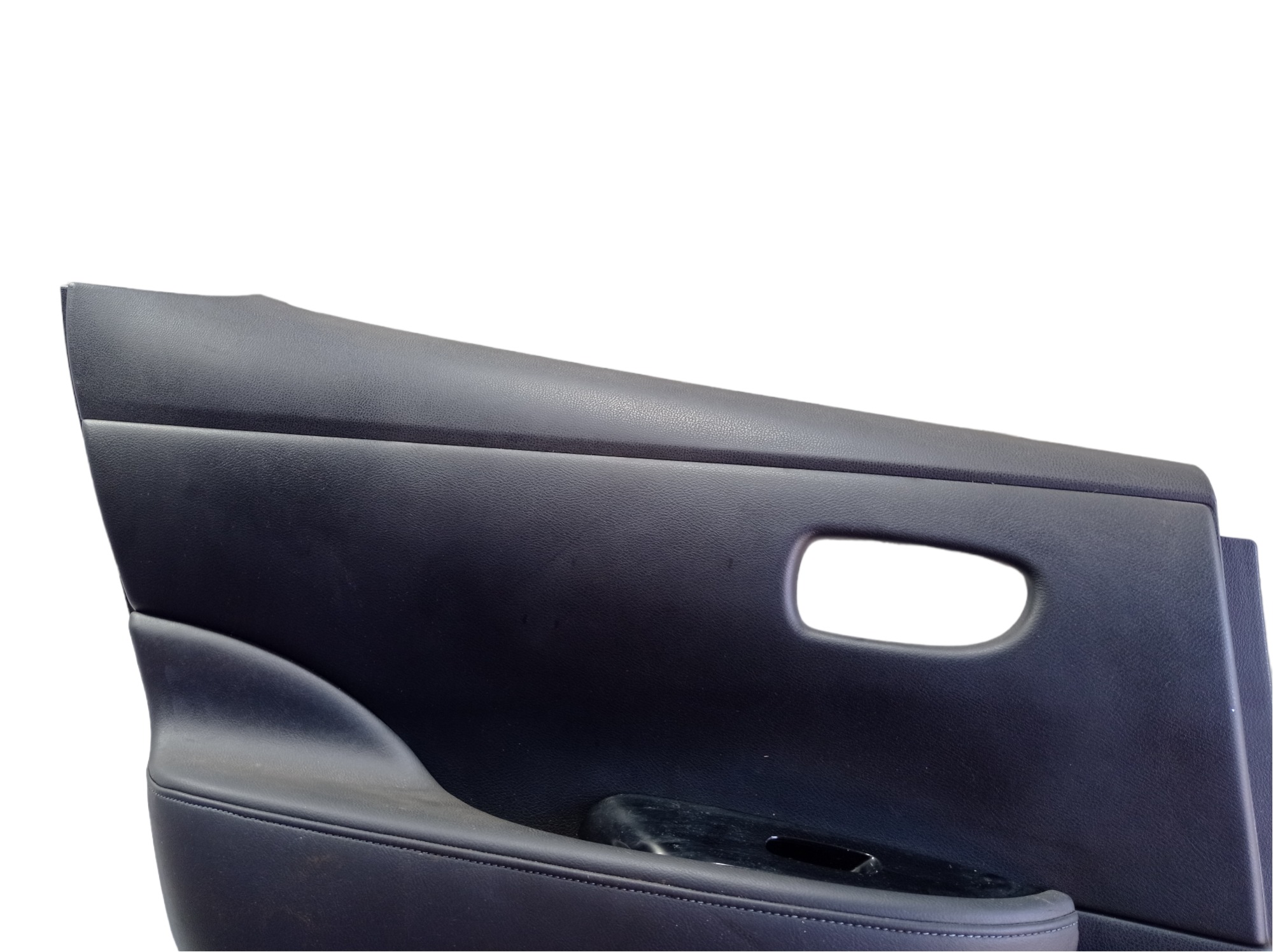 Forro Porta Traseira Esquerda Nissan Leaf 2019 V488 5