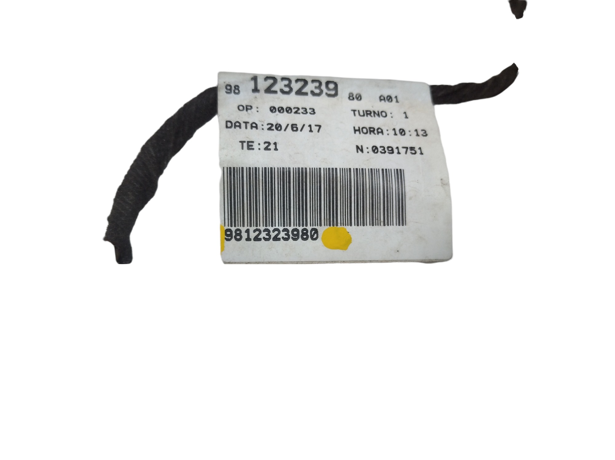 Chicote Porta Traseira Esquerda Peugeot 2008 2017 9812323980 8