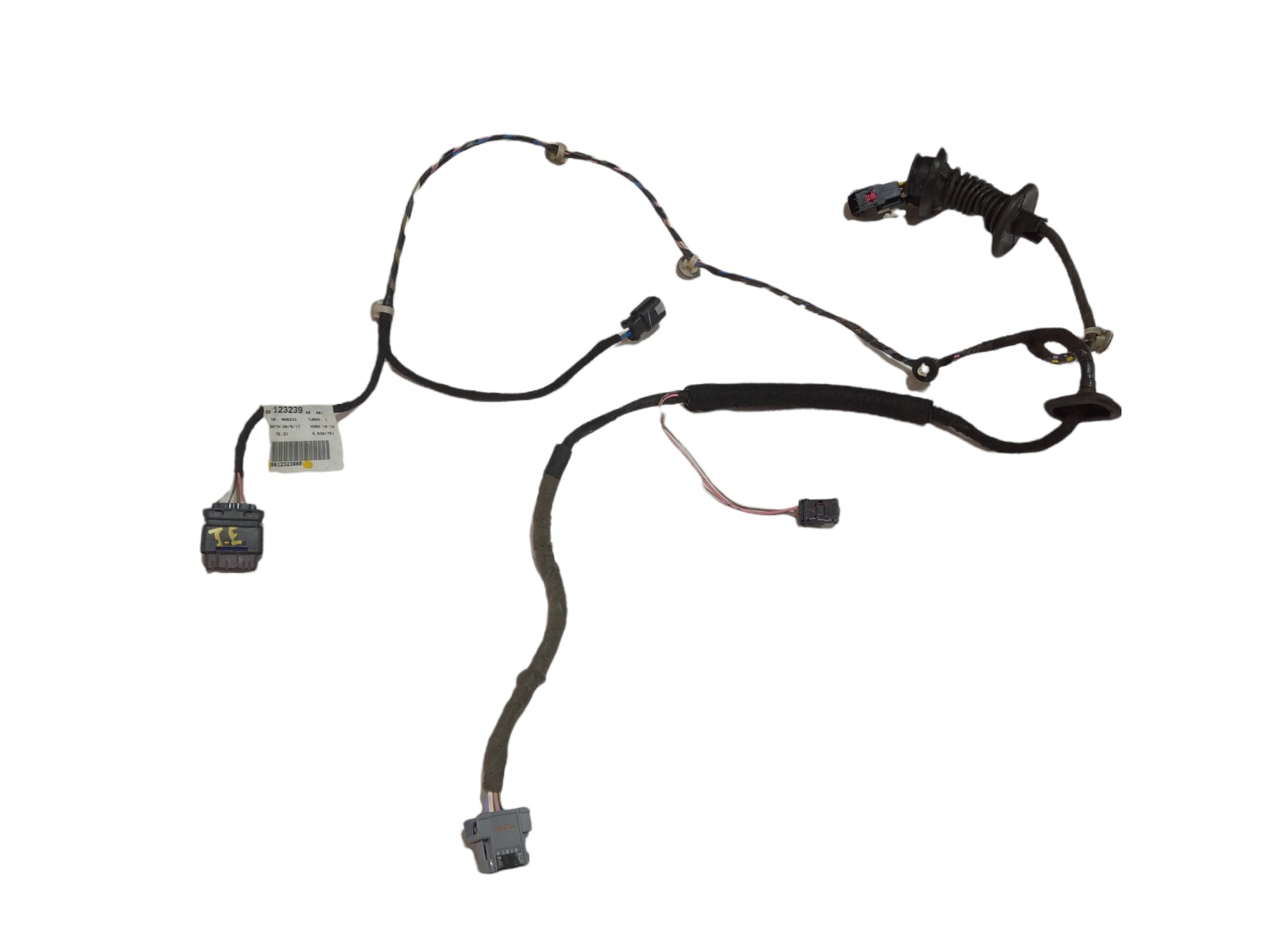 Chicote Porta Traseira Esquerda Peugeot 2008 2017 9812323980 1