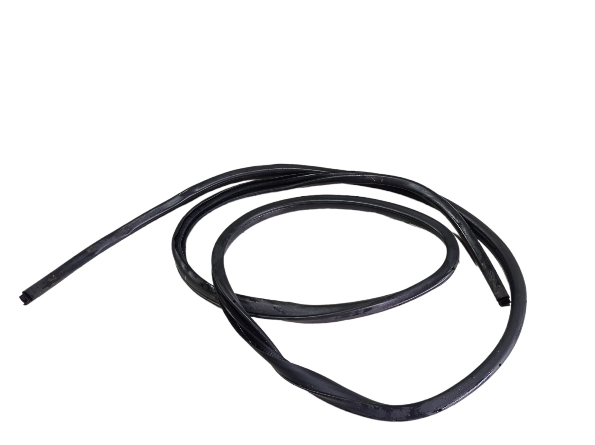 Borracha Porta Dianteira Esquerda Nissan Leaf 2019 V488 4