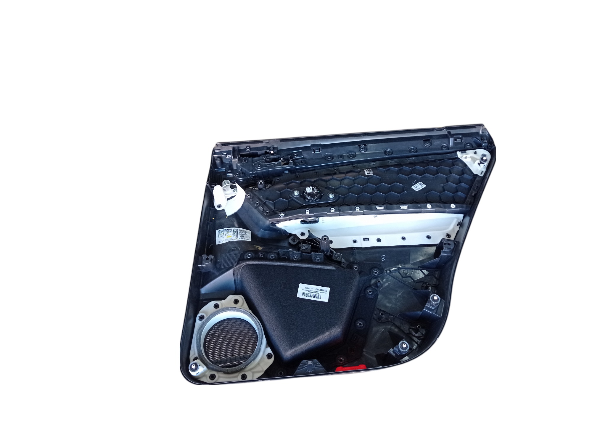 Forro Porta Traseira Esquerdo Vw Tiguan 2019 A 2020 V419 1