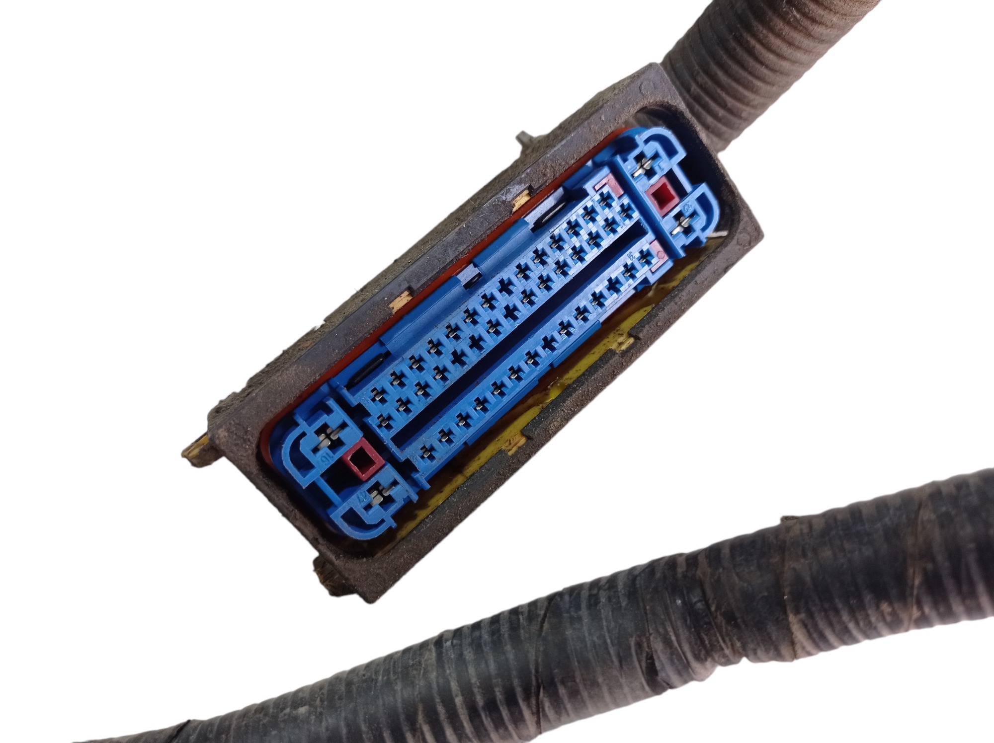 Chicote Direito Kia Opirus 3.8 V6 2008 91584-3f410 V581 5