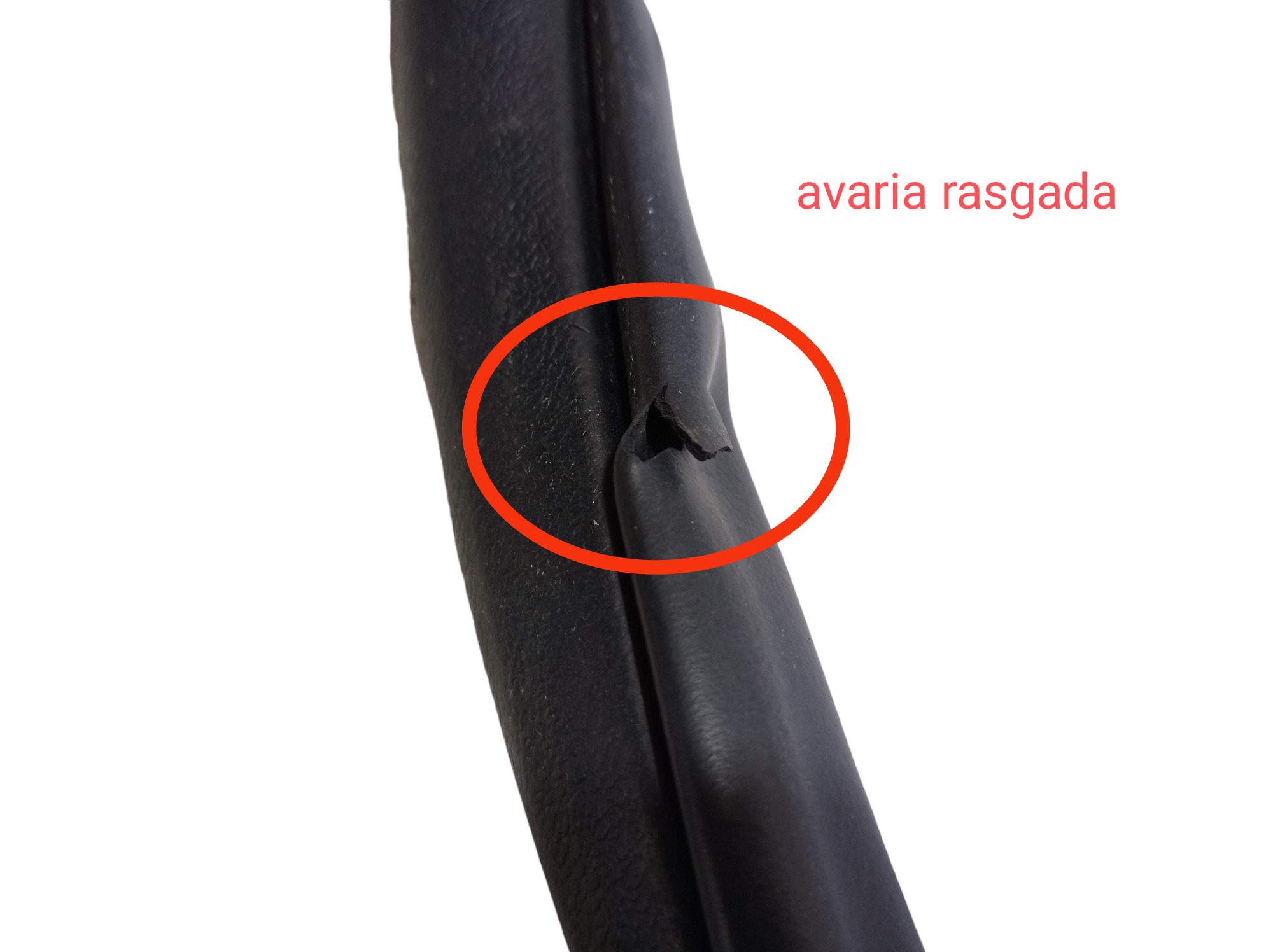 Borracha Porta Traseira Esquerda Honda Accord 2011 V557 3