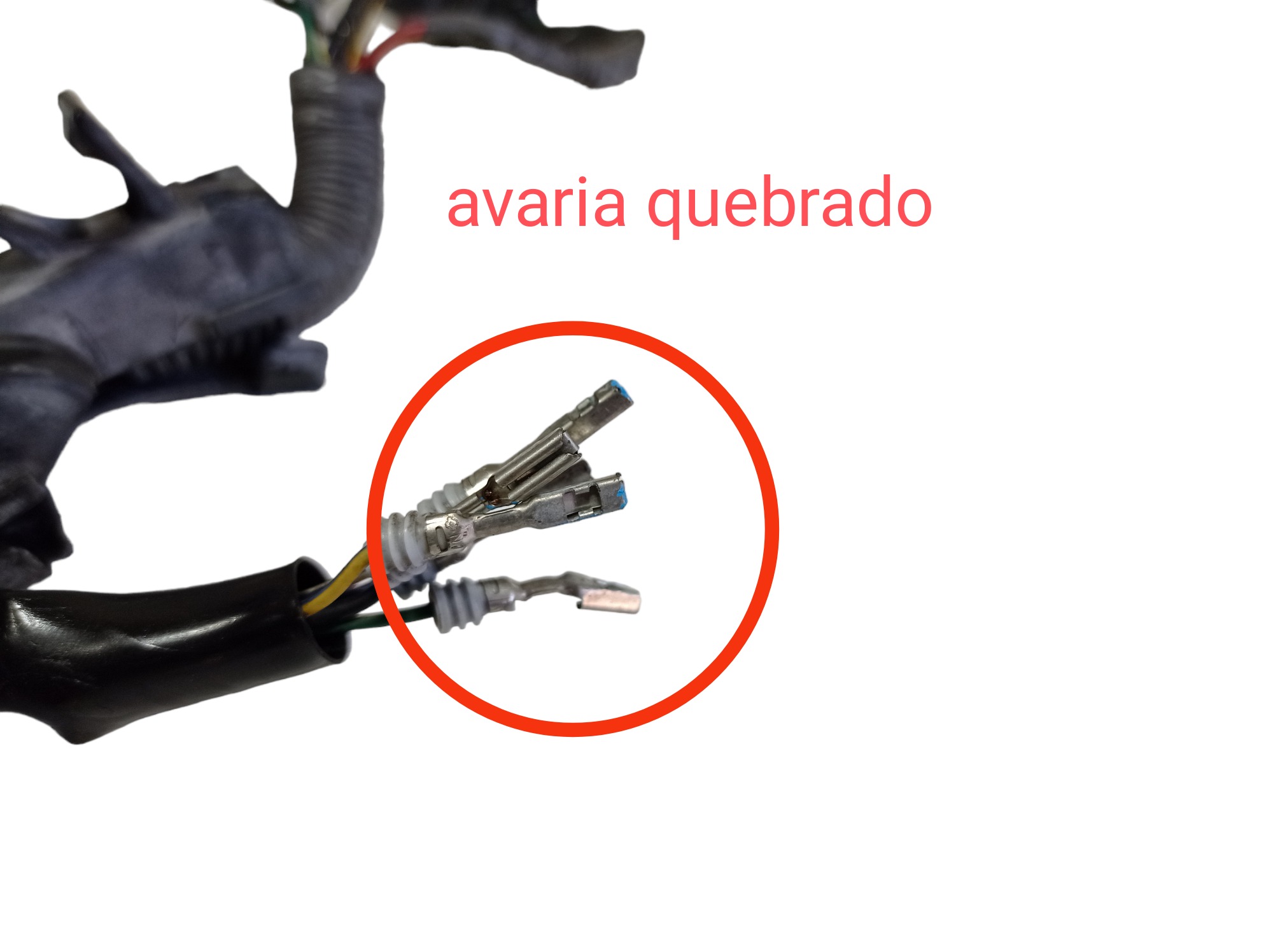 Chicote Injeção Honda Accord Ex 2.0 16v 2011 7184-4142 V557 6