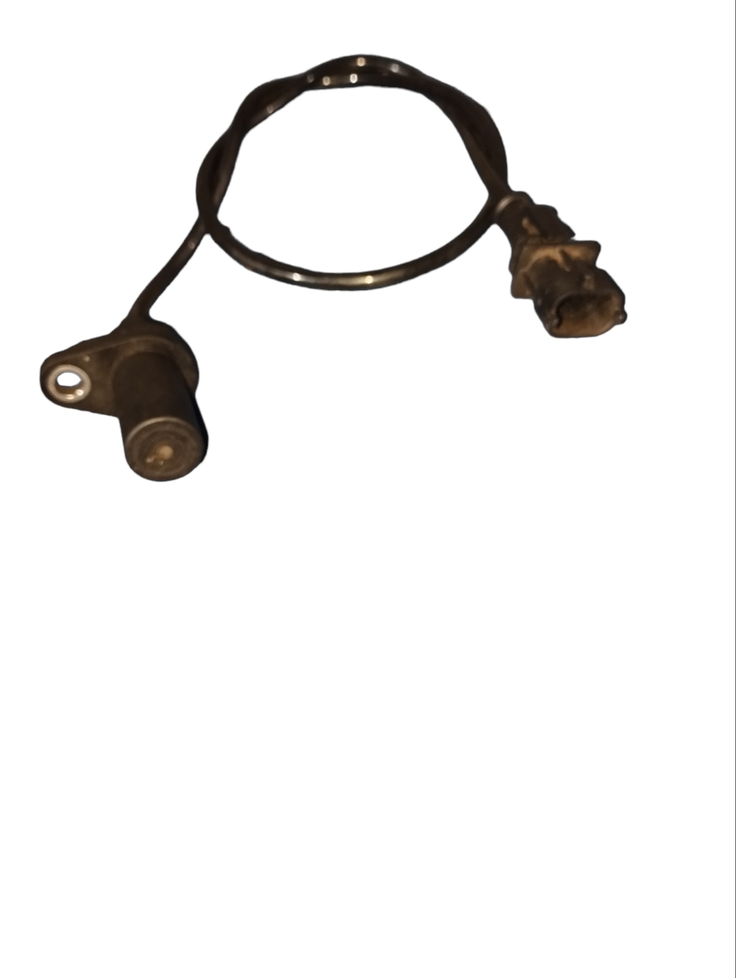 Sensor Rotação Fiat Palio  Siena 1.4 55236455