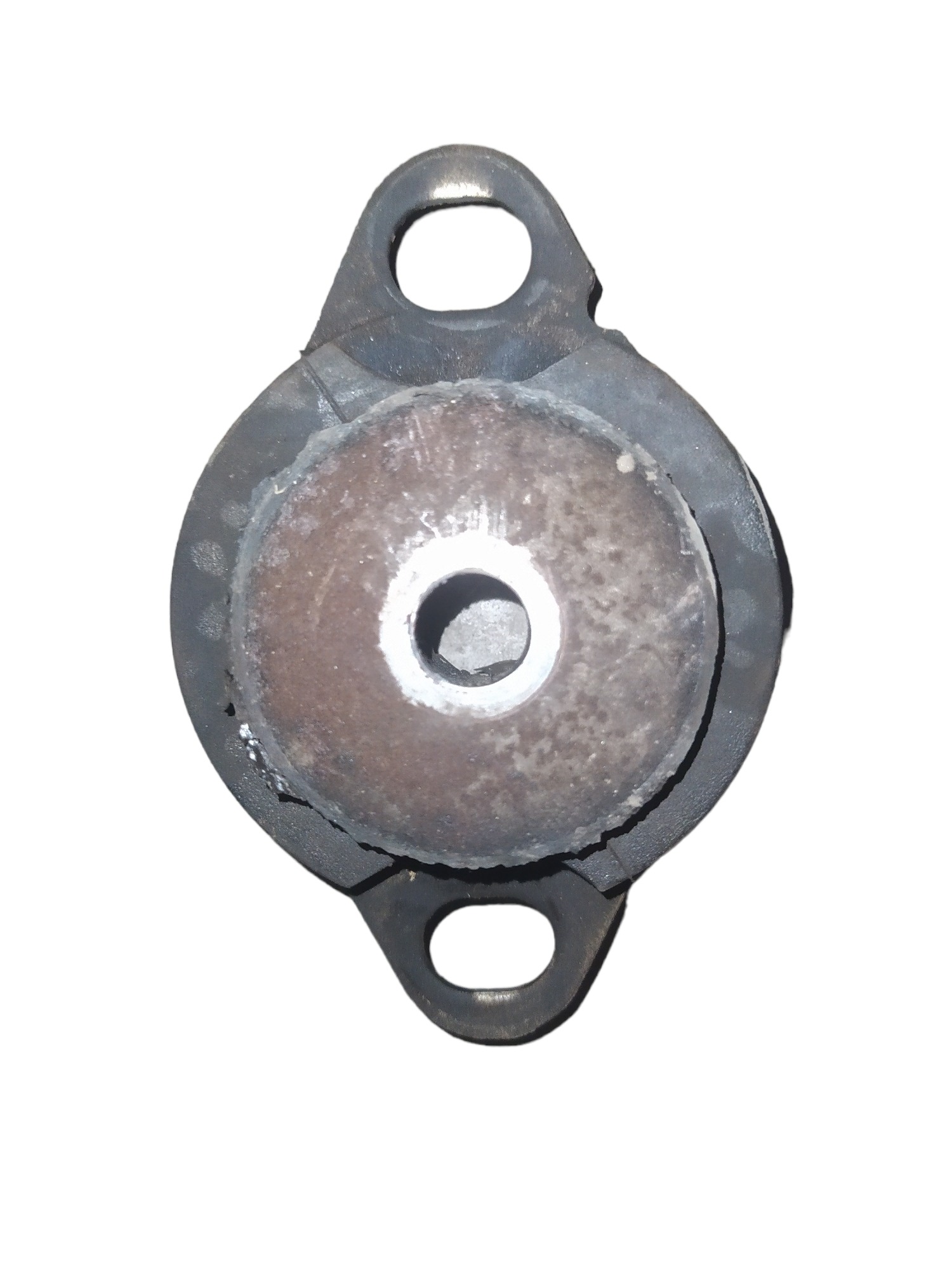 Coxim Esquerdo Renault Clio Megane Scenic 8v 16v 1999 2012 6