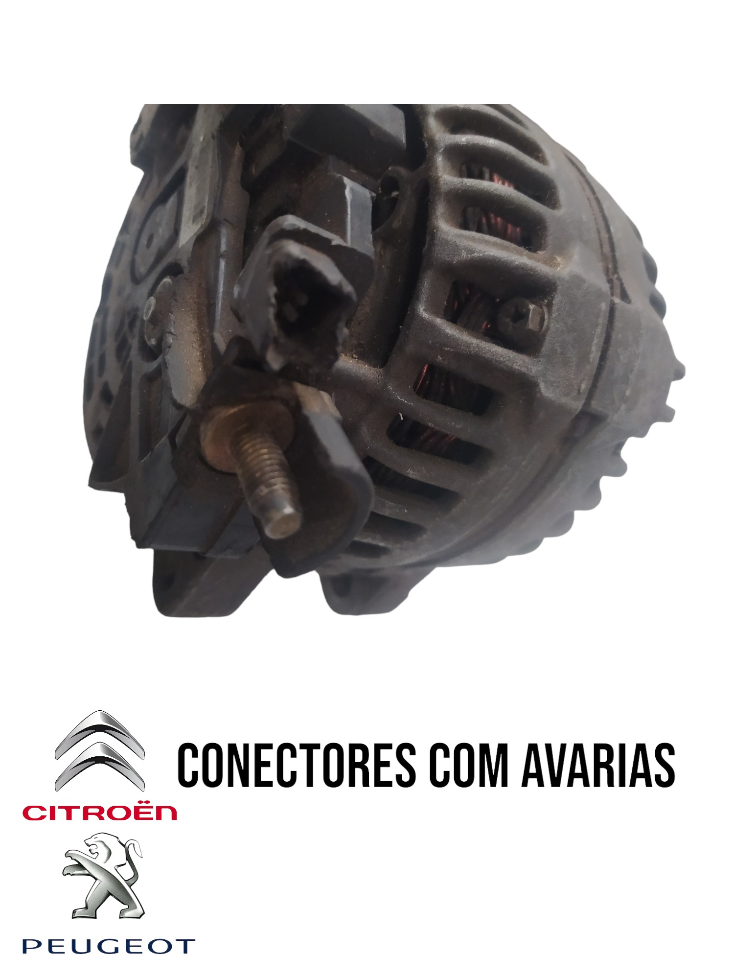 Alternador C3 C4 C8 Peugeot 307 407 2.0 Cl15 9649846780